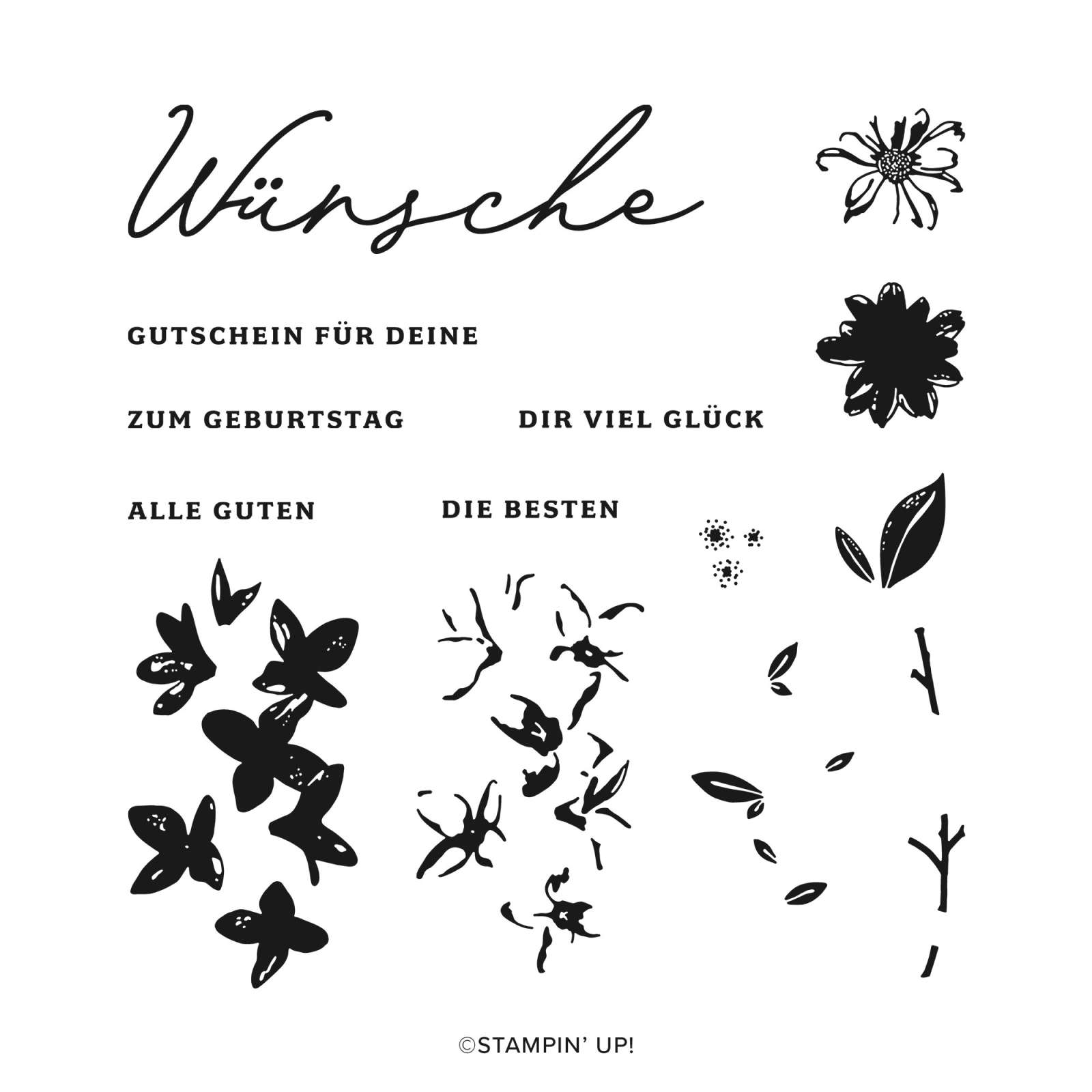 PRODUKTPAKET VIELE WÜNSCHE (DEUTSCH)