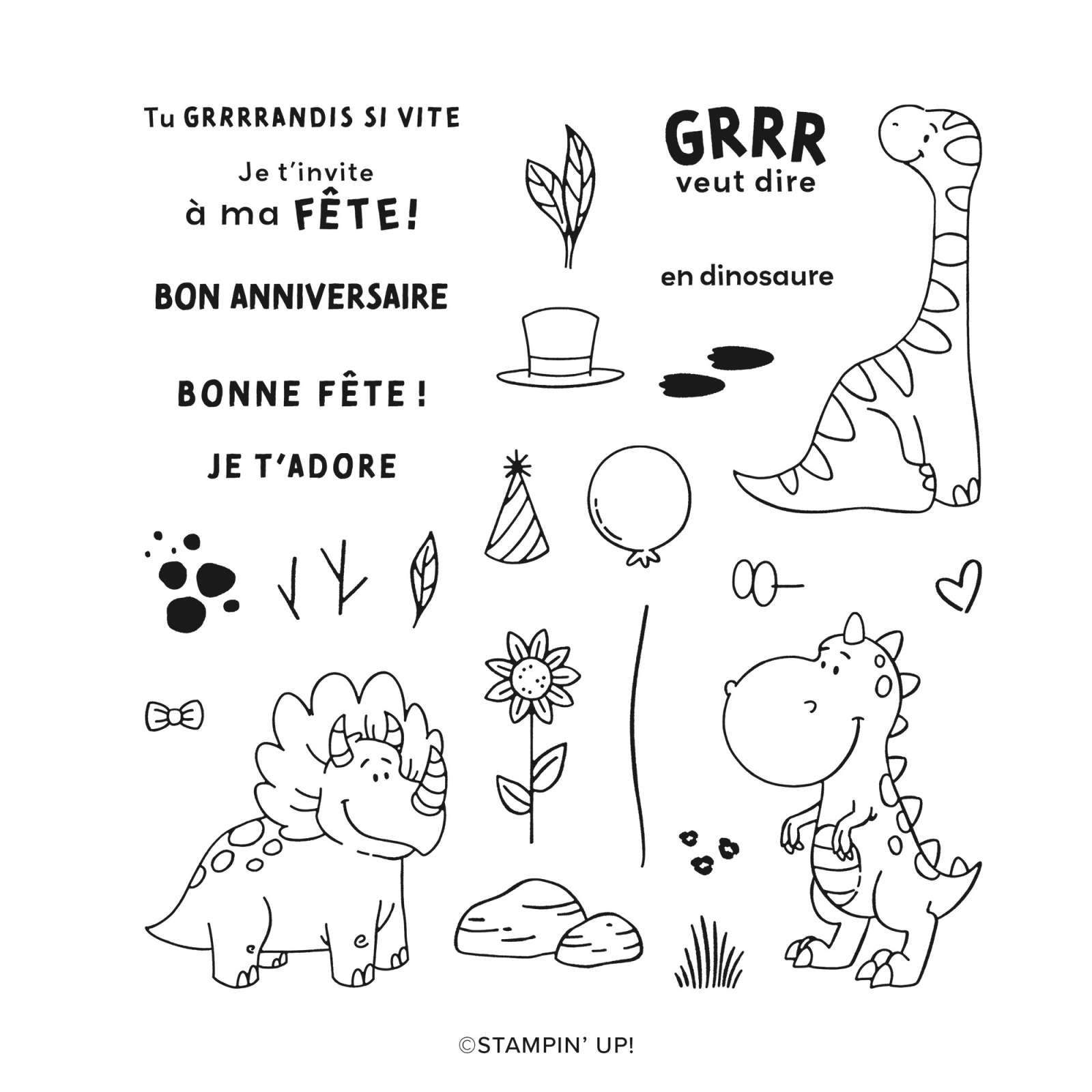 ADORABLES DINOS PHOTOPOLYMER STAMP SET (FRENCH)
