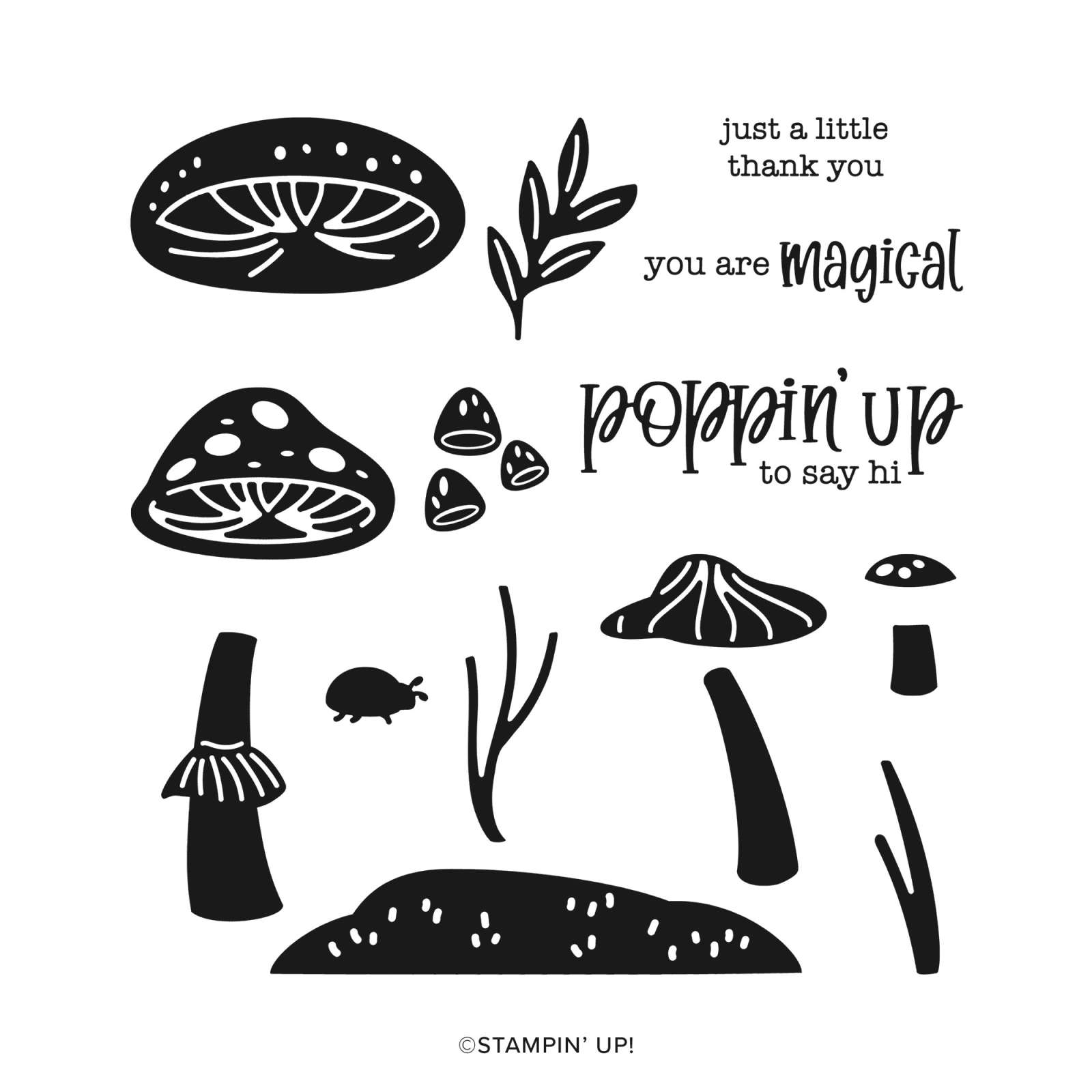 TERRIFIC TOADSTOOLS PHOTOPOLYMER STAMP SET (ENGLISH)