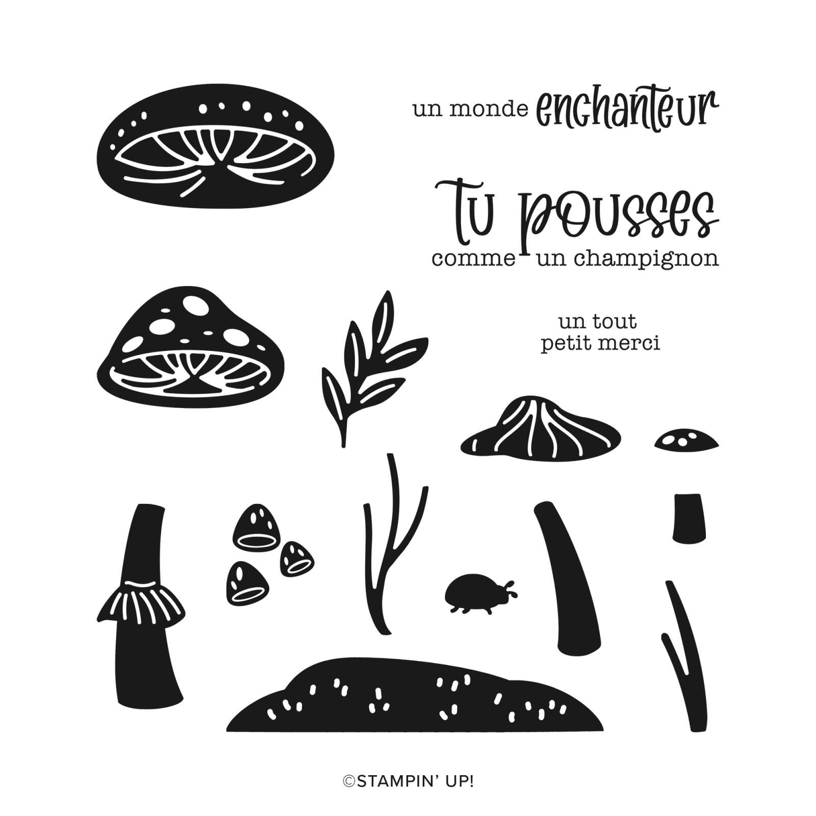 AVENTURE ENCHANTÉE PHOTOPOLYMER STAMP SET (FRENCH)