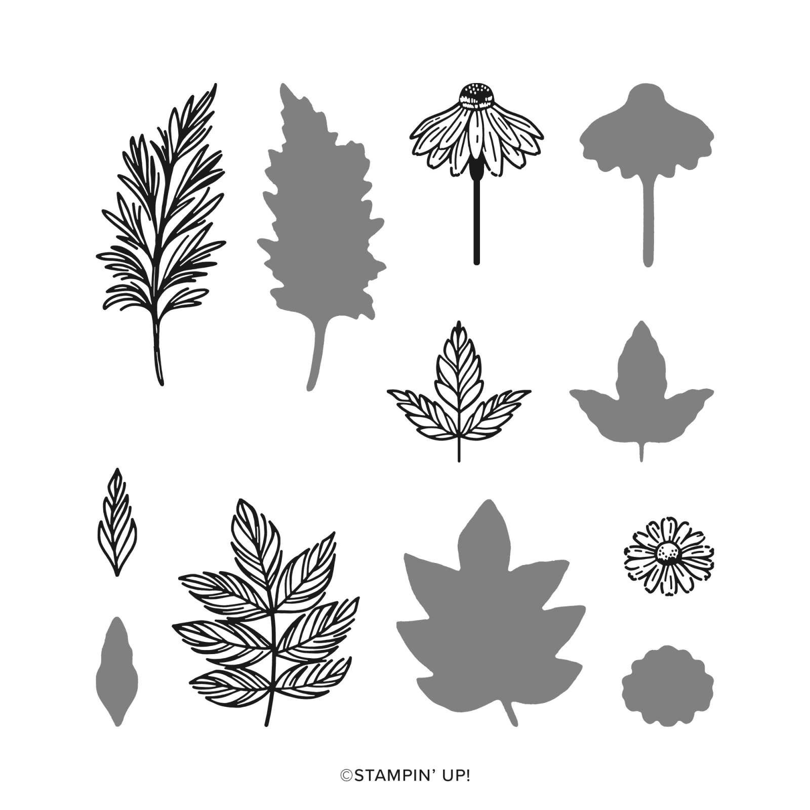 NATURAL BOTANICALS PHOTOPOLYMER STAMP SET