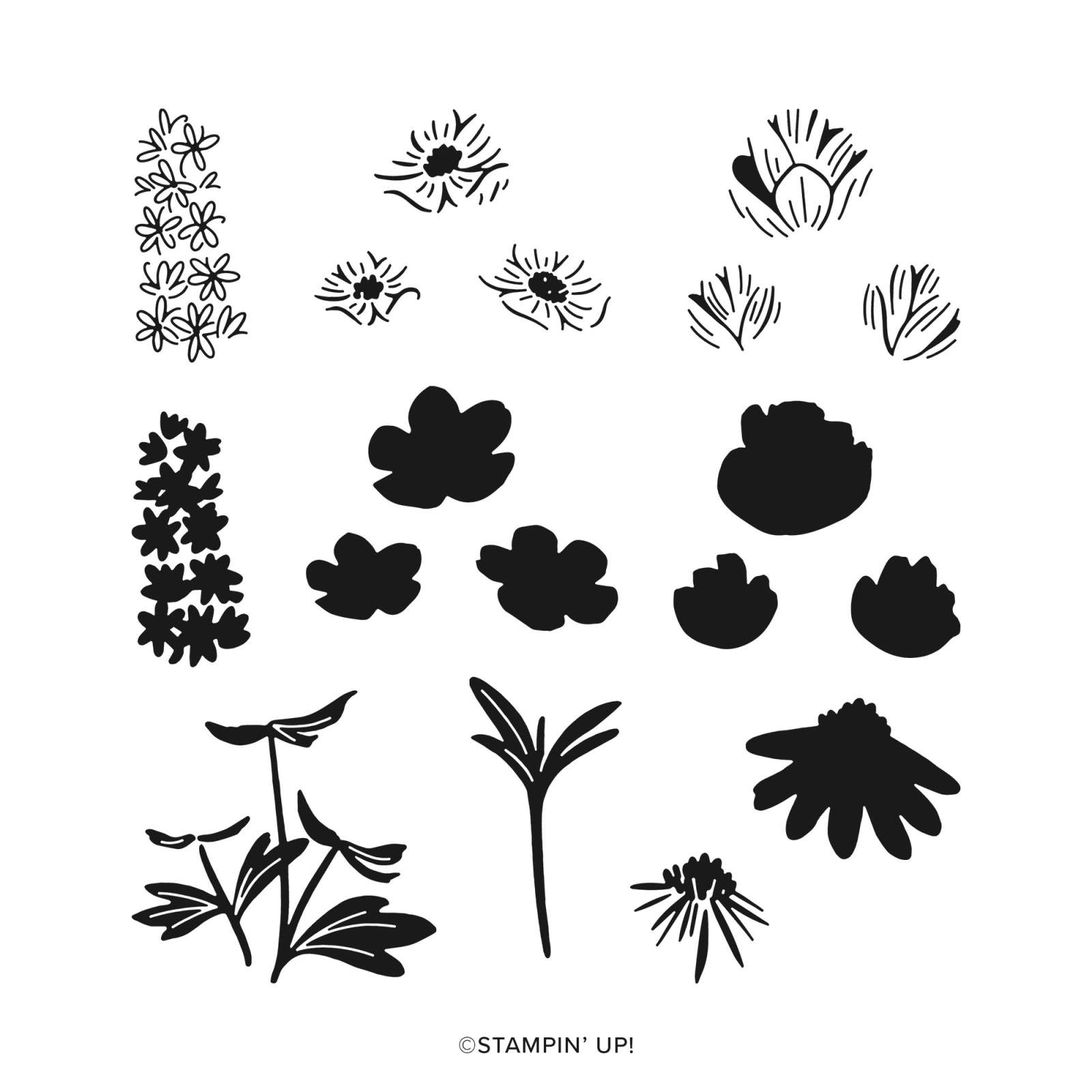 PRETTY FLORALS PHOTOPOLYMER STAMP SET