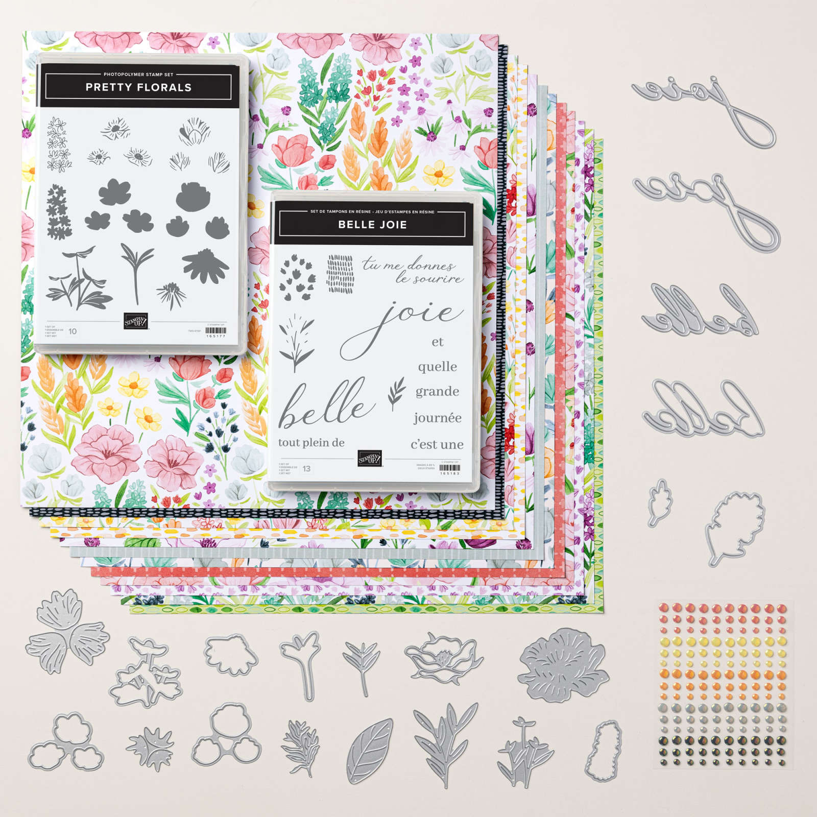 ASSORTIMENT DE COLLECTION FLEURS ÉPANOUIES (FRANÇAIS)