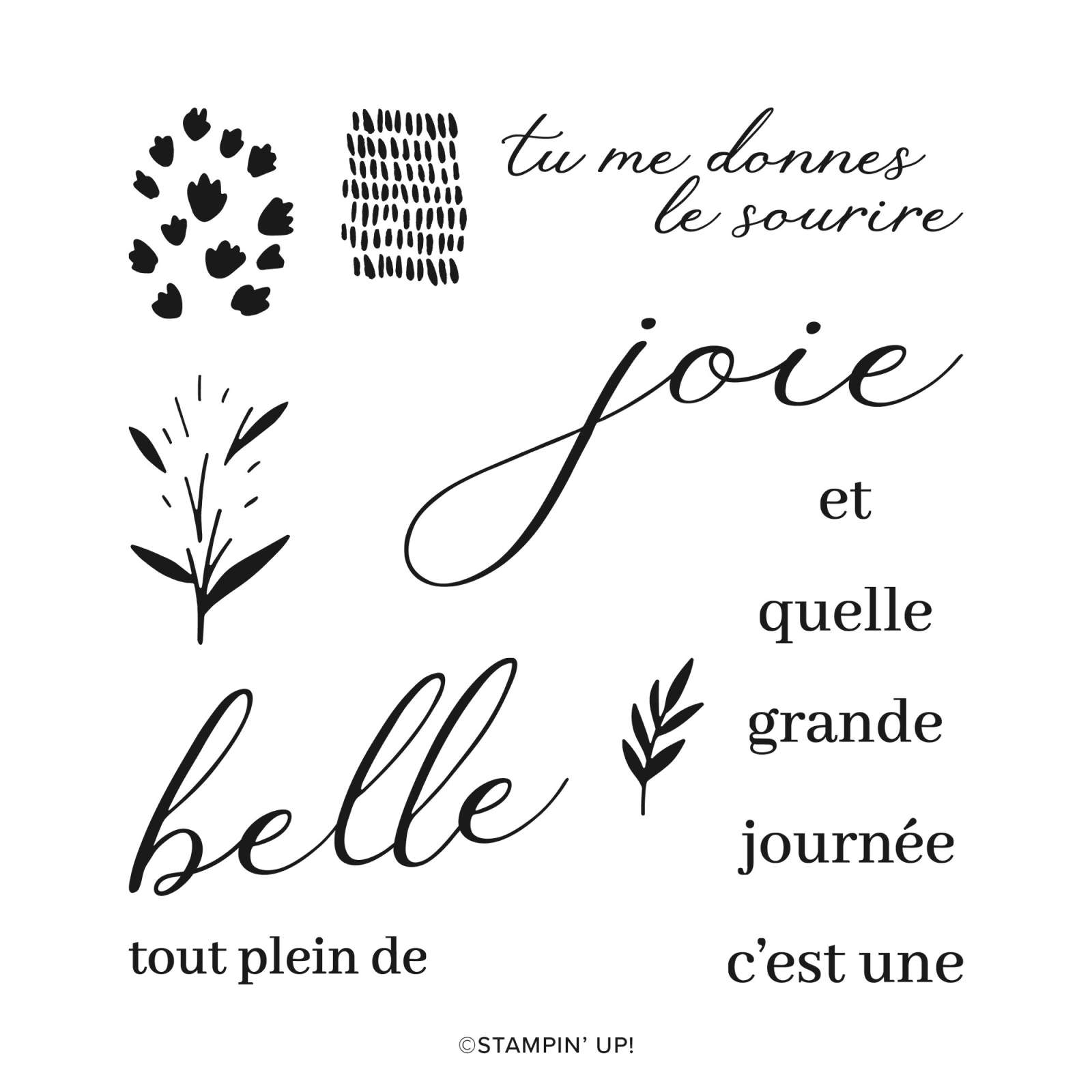 ASSORTIMENT DE COLLECTION FLEURS ÉPANOUIES (FRANÇAIS)