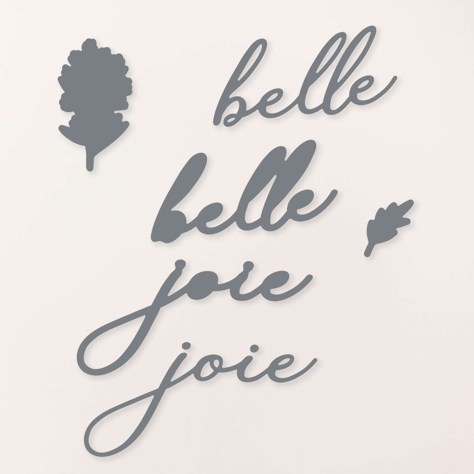 ASSORTIMENT DE COLLECTION FLEURS ÉPANOUIES (FRANÇAIS)