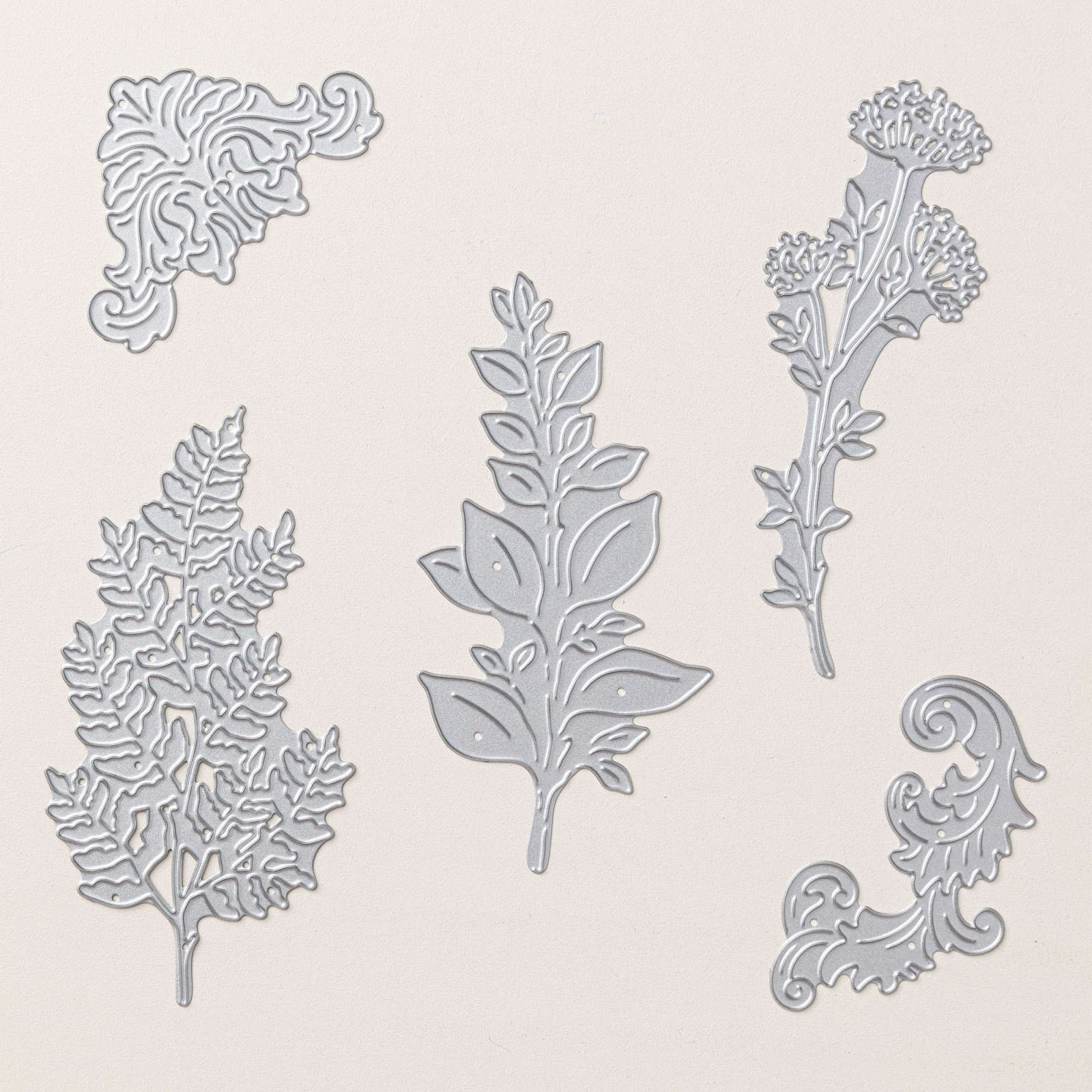 MOTIFS SPLENDIDES BUNDLE (FRENCH)