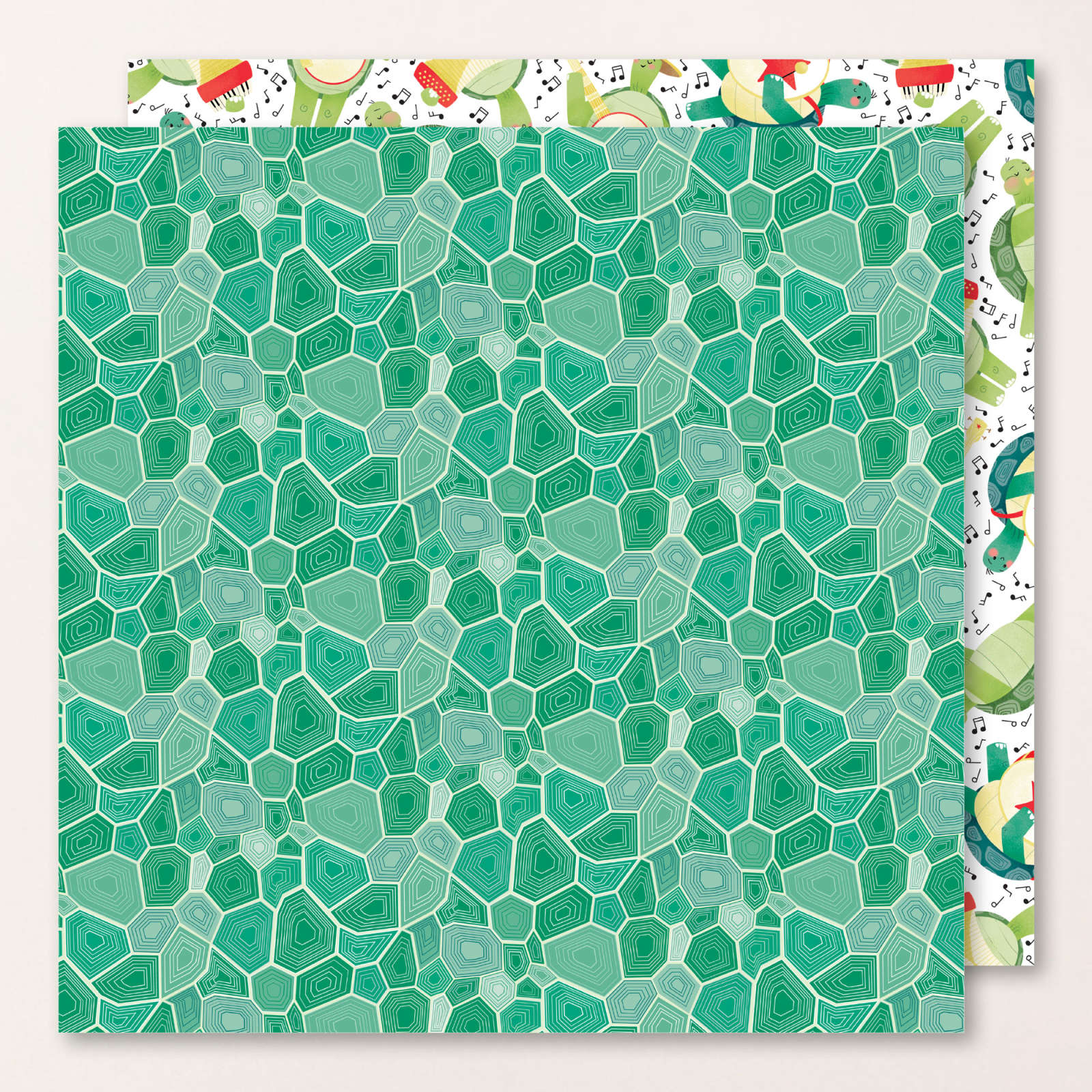 TURTLE-Y CUTE 12" X 12" (30.5 X 30.5 CM) DESIGNER SERIES PAPER