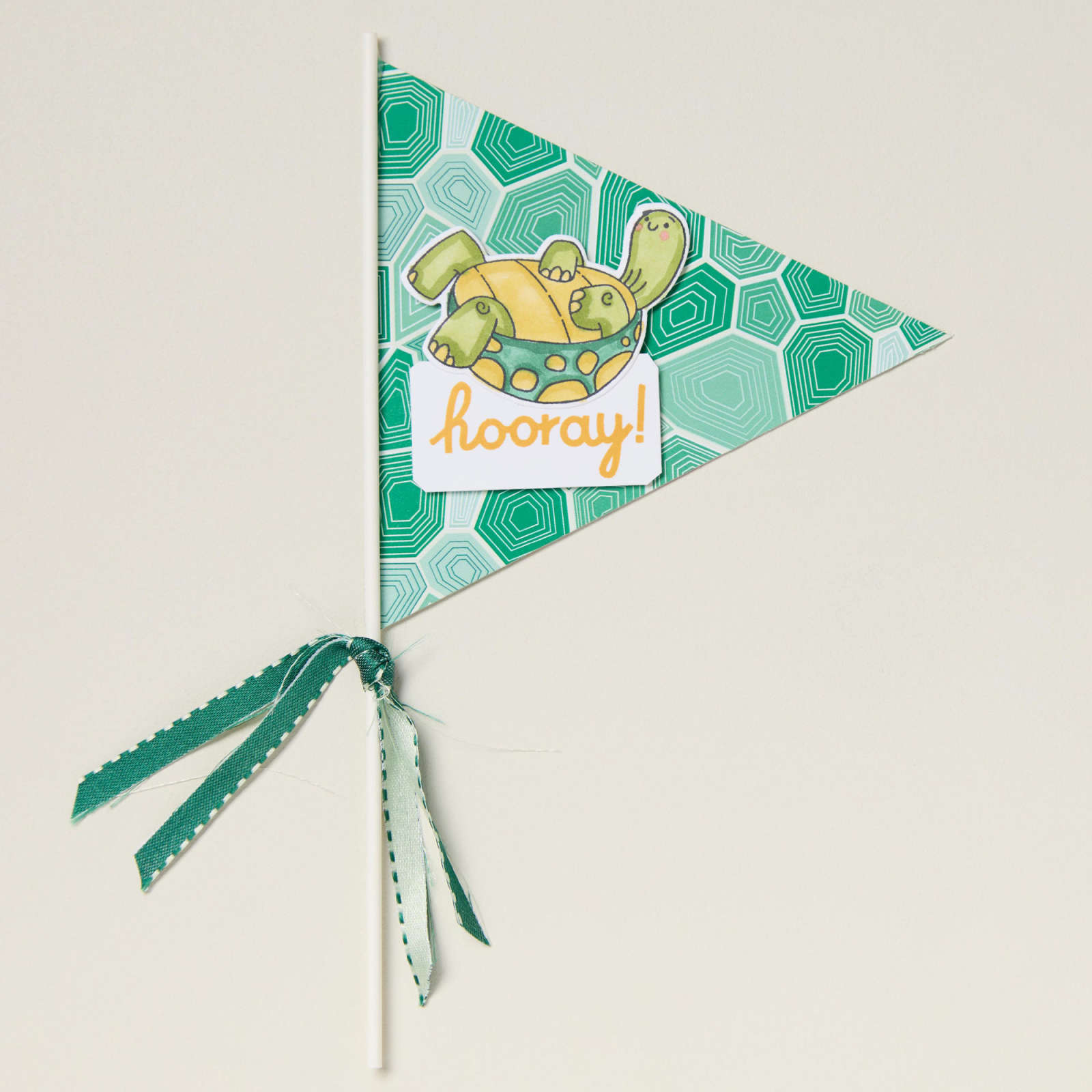 TURTLE-Y CUTE 12" X 12" (30.5 X 30.5 CM) DESIGNER SERIES PAPER