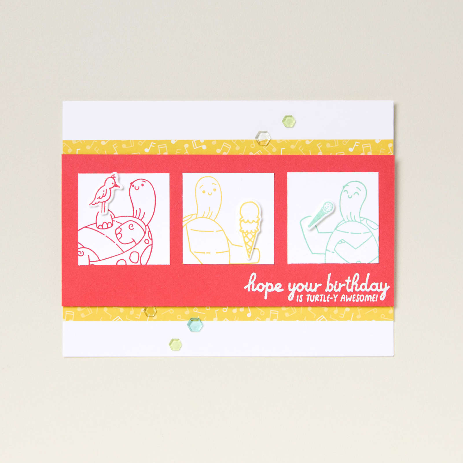 PRODUKTPAKET SCHILDKRÖTENGRÜSSE (DEUTSCH)