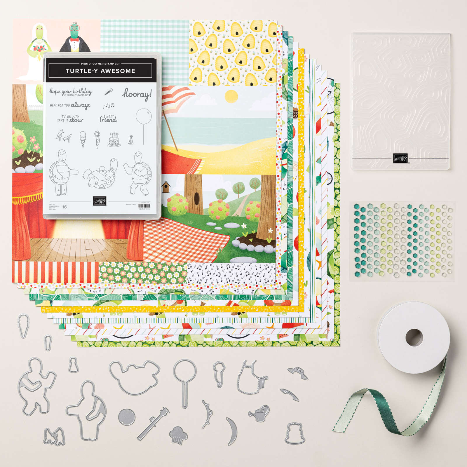 TURTLE-Y CUTE SUITE COLLECTION (ENGLISH)