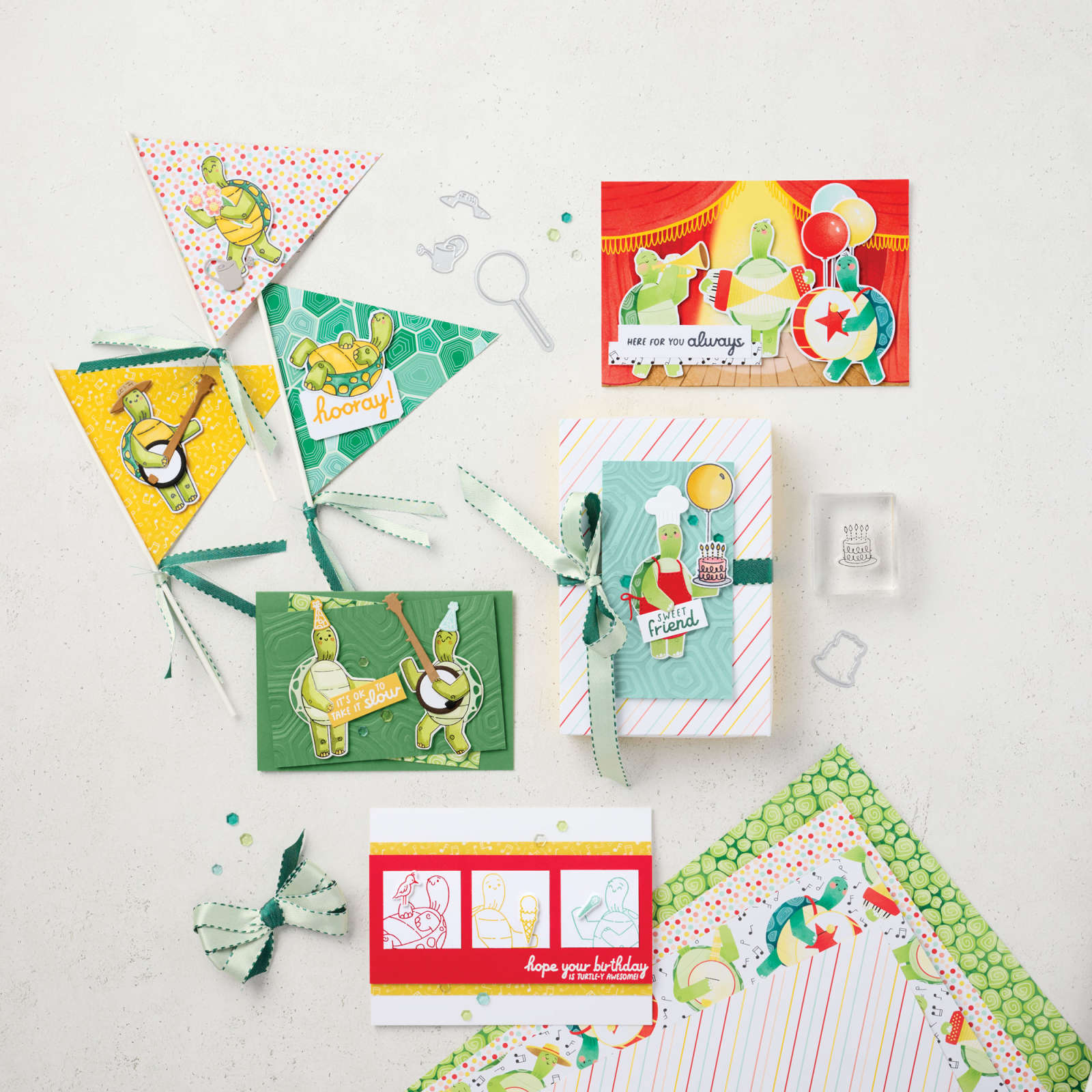 TURTLE-Y CUTE SUITE COLLECTION (ENGLISH)