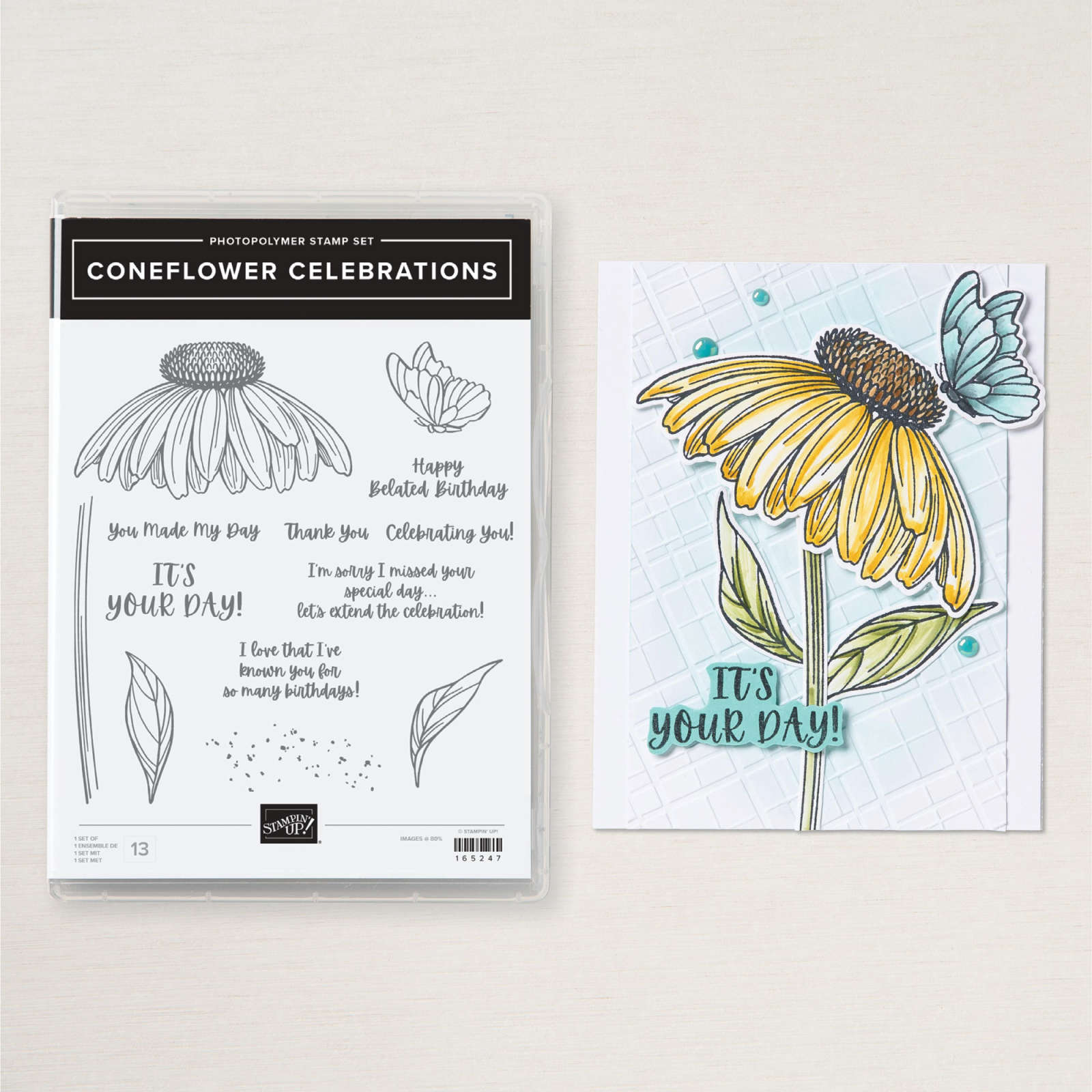 CONEFLOWER CELEBRATIONS PHOTOPOLYMER STAMP SET (ENGLISH)