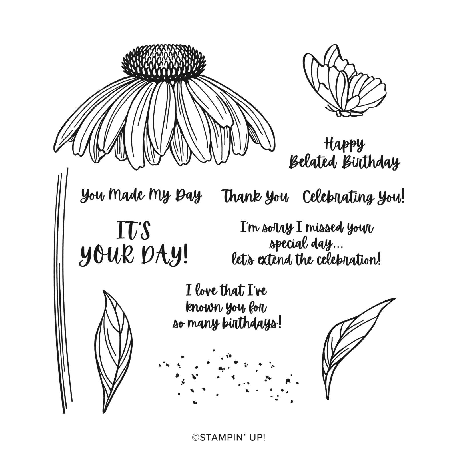 CONEFLOWER CELEBRATIONS PHOTOPOLYMER STAMP SET (ENGLISH)