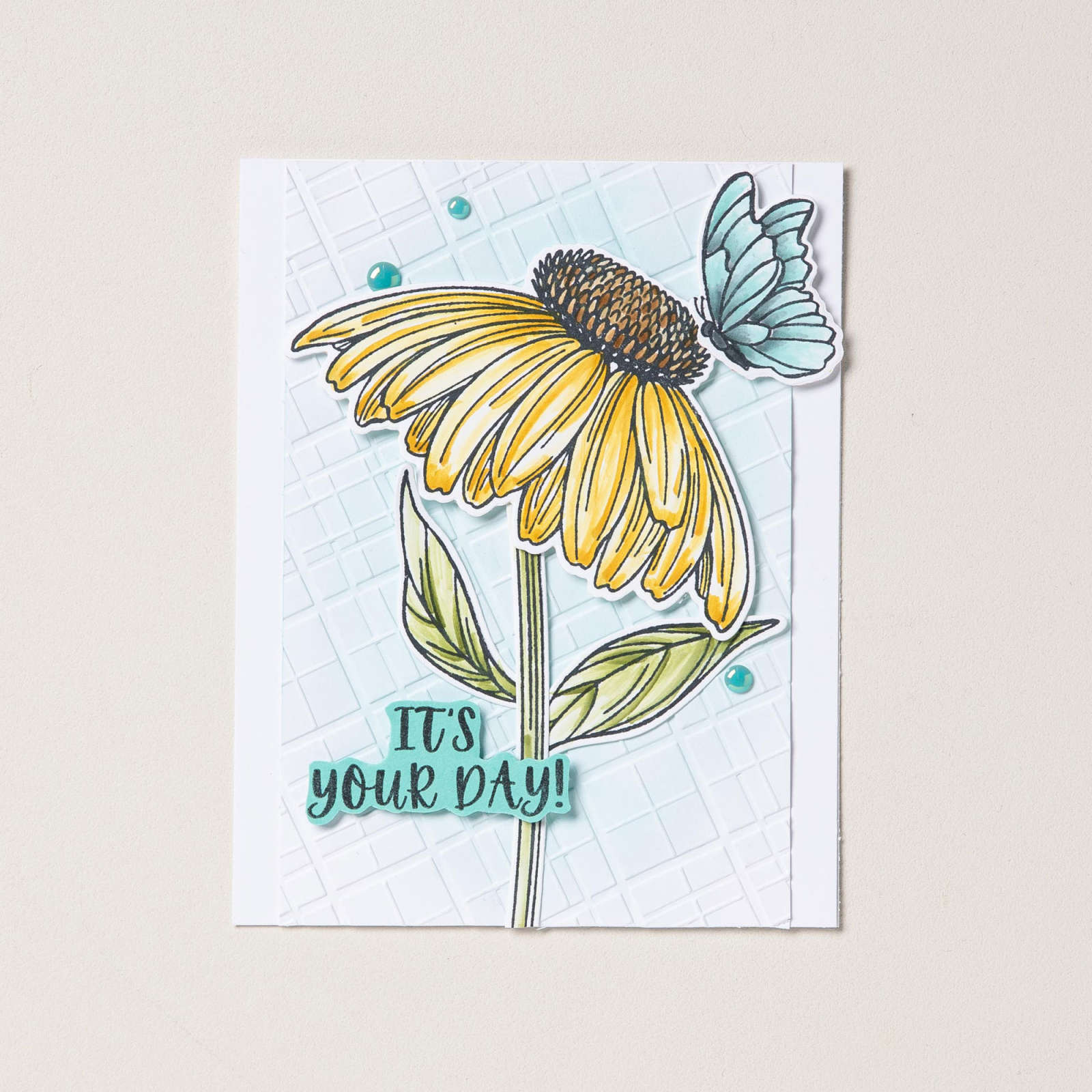 CONEFLOWER CELEBRATIONS PHOTOPOLYMER STAMP SET (ENGLISH)