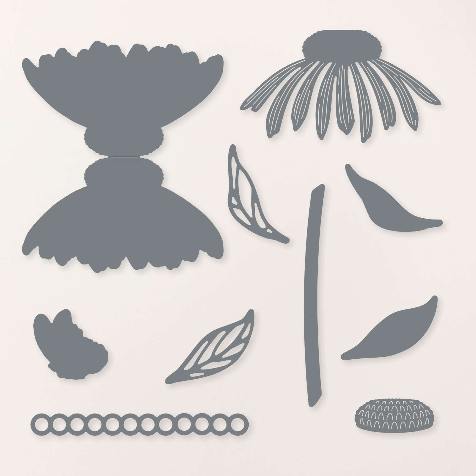 CONEFLOWER CELEBRATIONS DIES