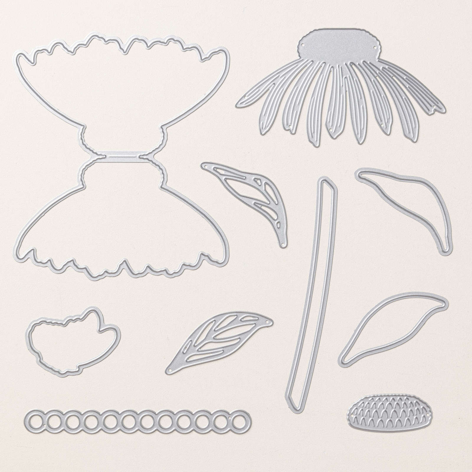 CONEFLOWER CELEBRATION BUNDLE (ENGLISH)