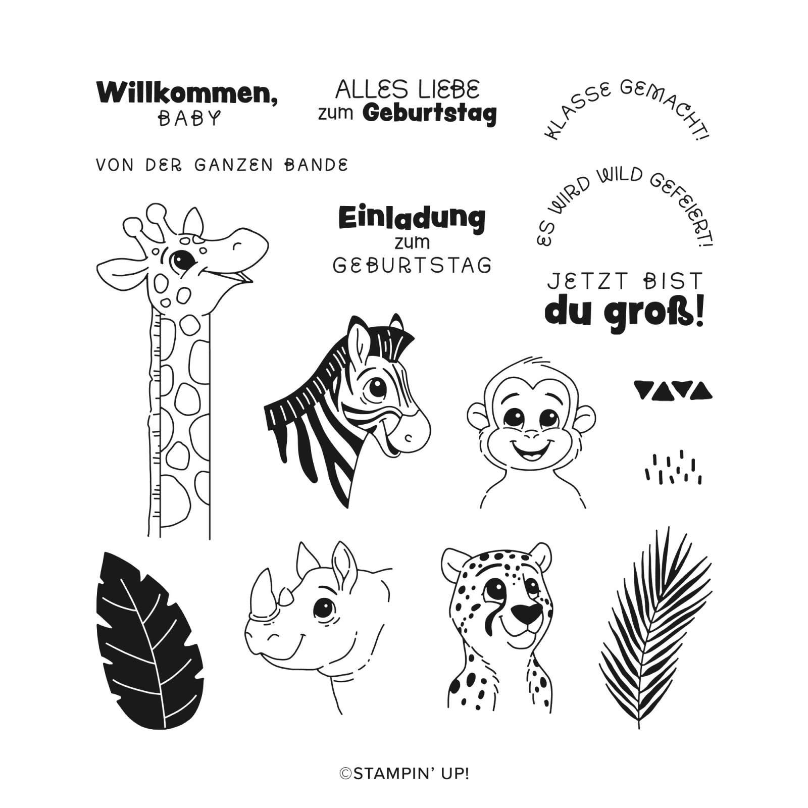 PRODUKTPAKET SÜSSE SAFARI (DEUTSCH)