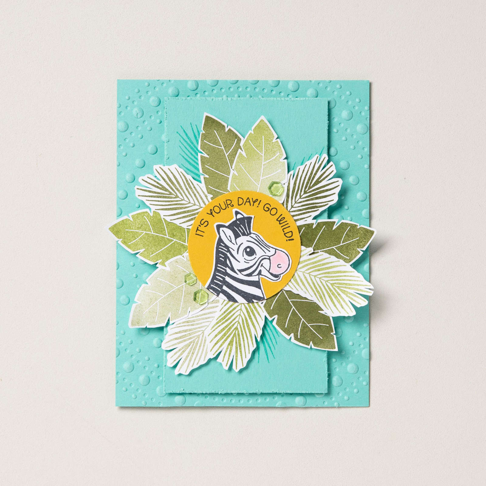 PRODUKTPAKET SÜSSE SAFARI (DEUTSCH)