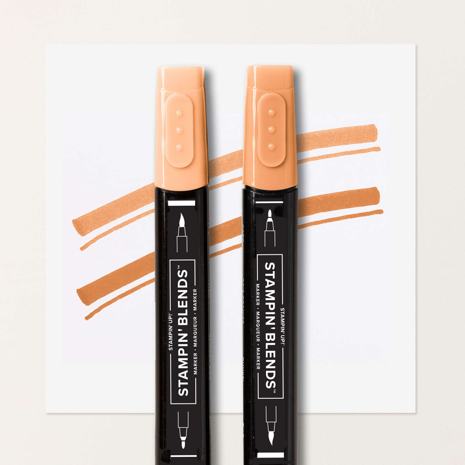 TIMID TIGER STAMPIN’ BLENDS COMBO PACK