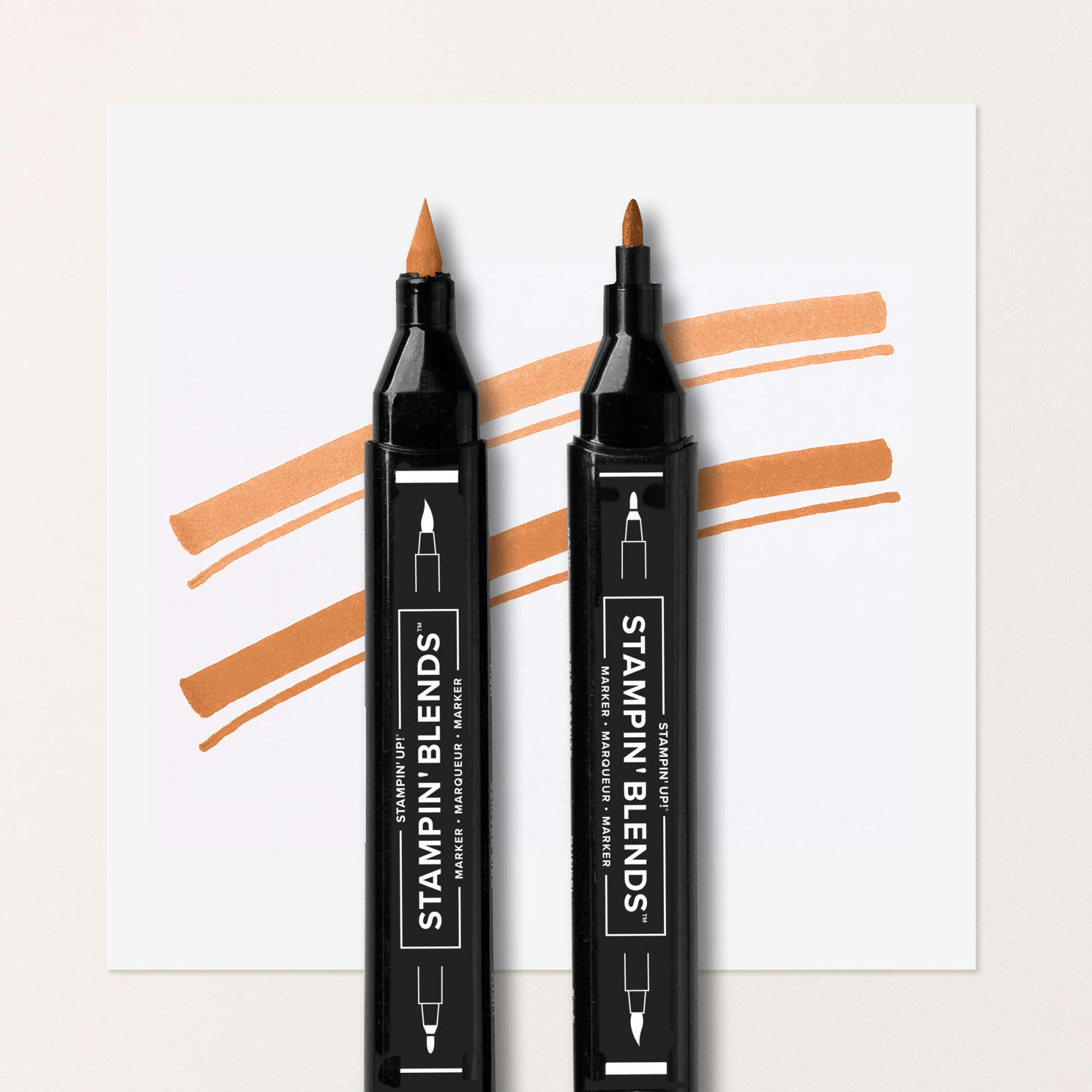 TIMID TIGER STAMPIN’ BLENDS COMBO PACK