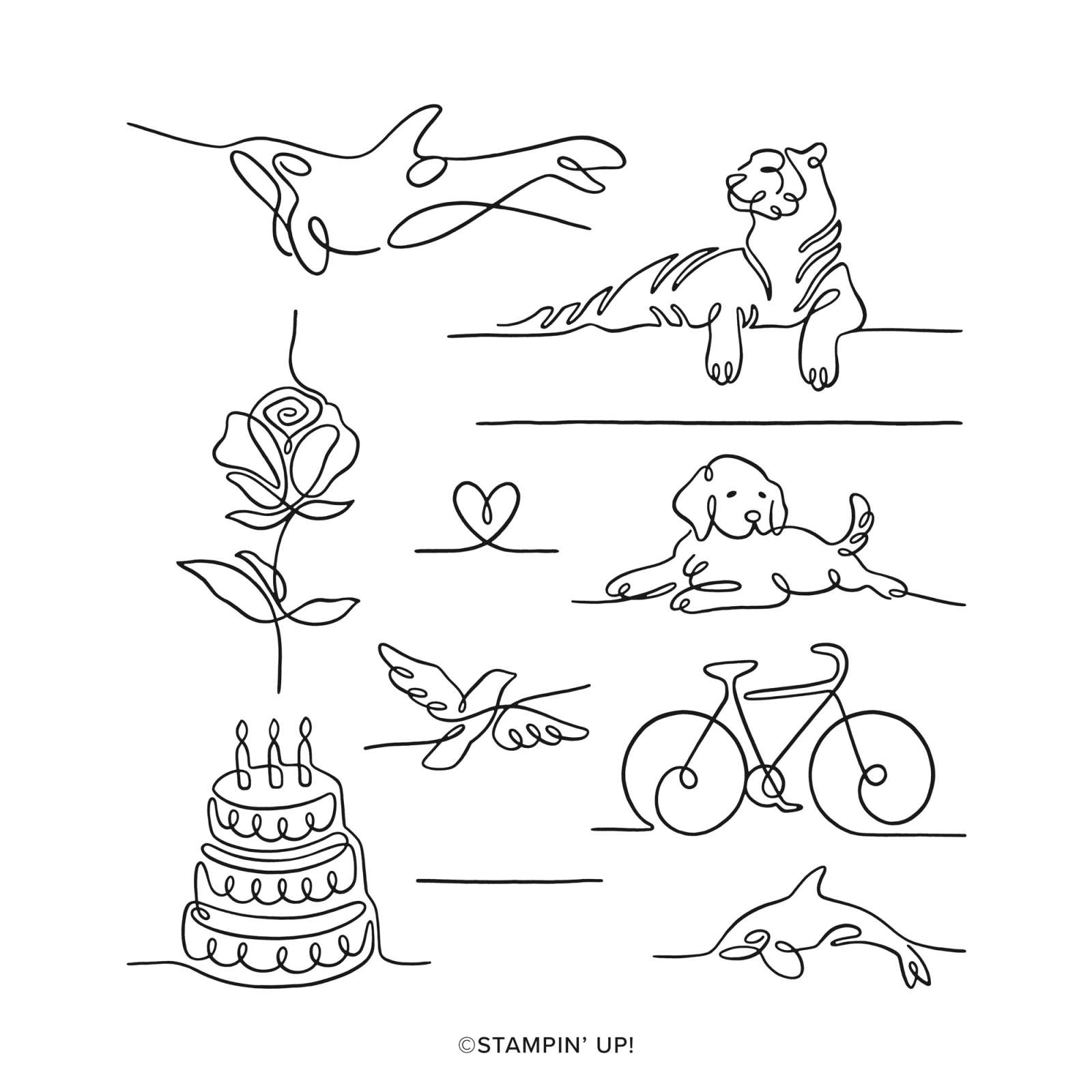ALONG THESE LINES PHOTOPOLYMER STAMP SET