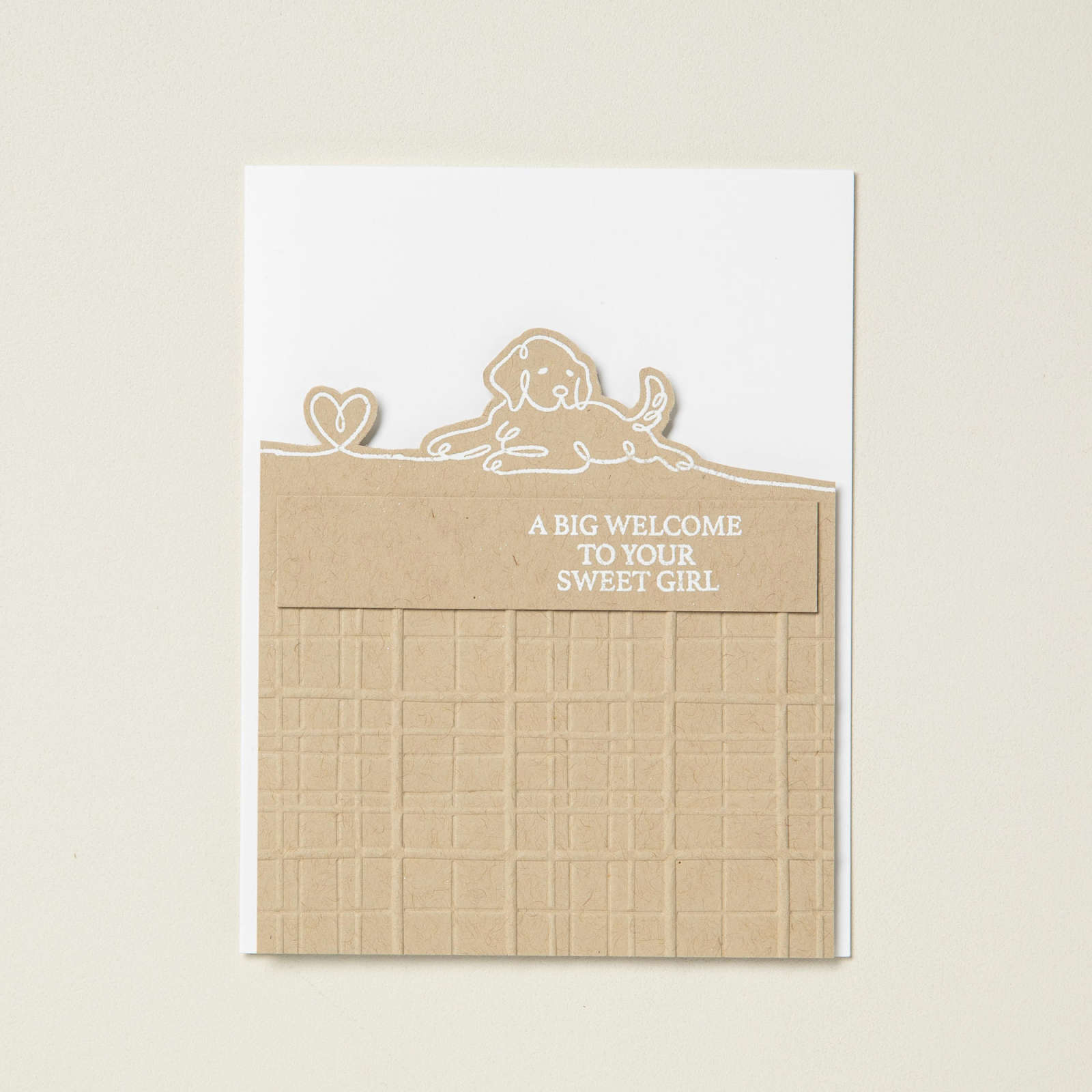 Along These Lines Stamp Set | Stampin' Up!