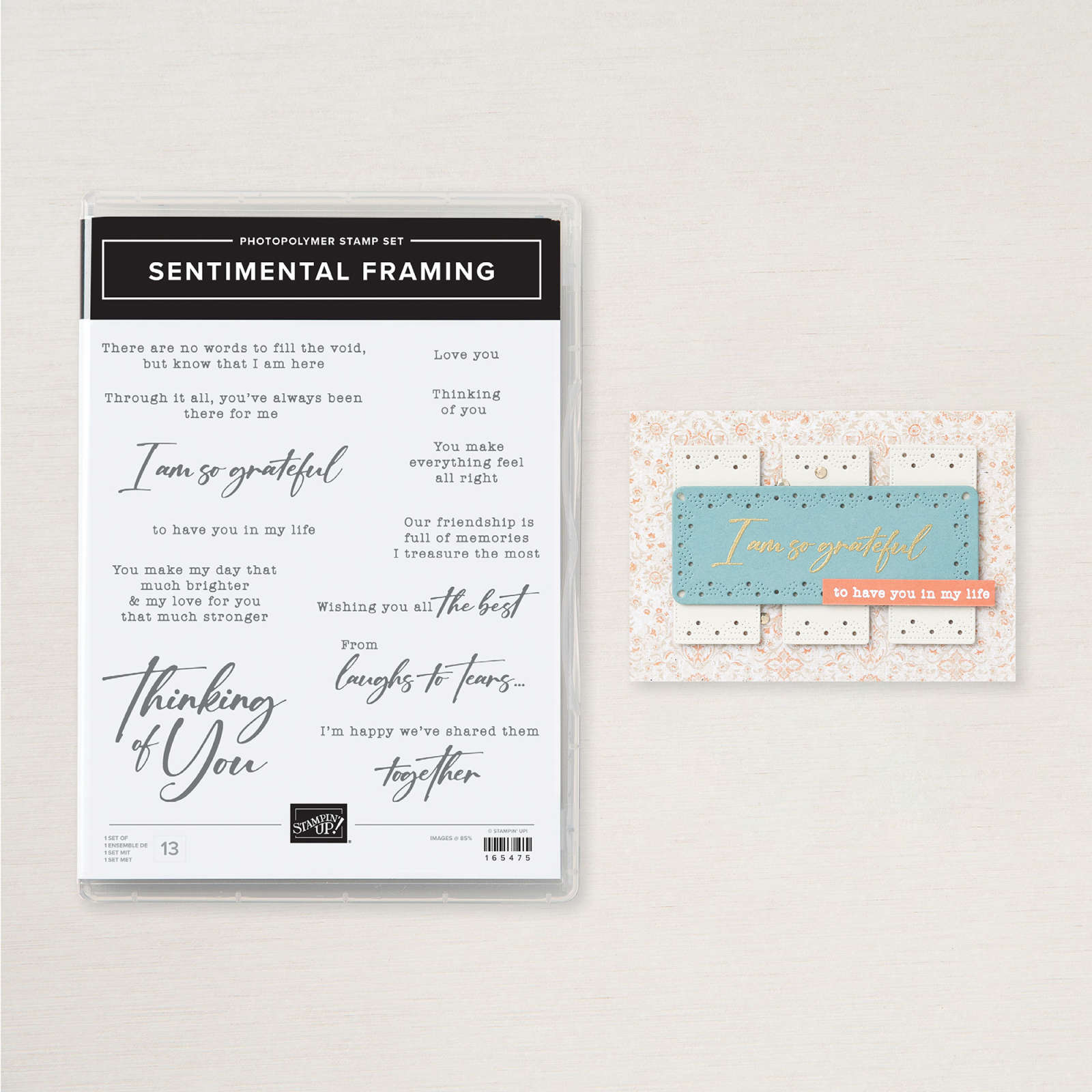 SENTIMENTAL FRAMING PHOTOPOLYMER STAMP SET (ENGLISH)
