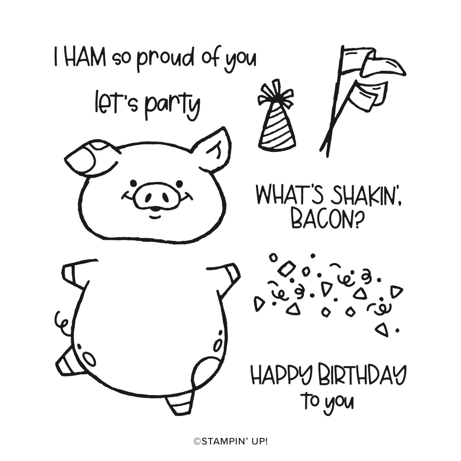 FOTOPOLYMEERSTEMPELSET PARTY PIGGY (ENGELS)