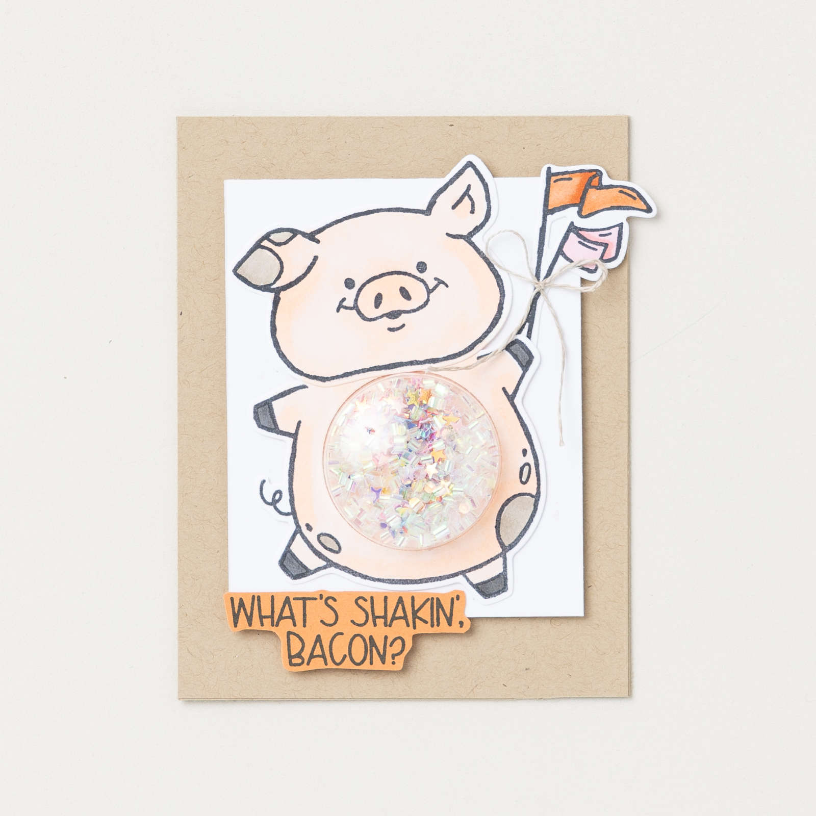 FOTOPOLYMEERSTEMPELSET PARTY PIGGY (ENGELS)