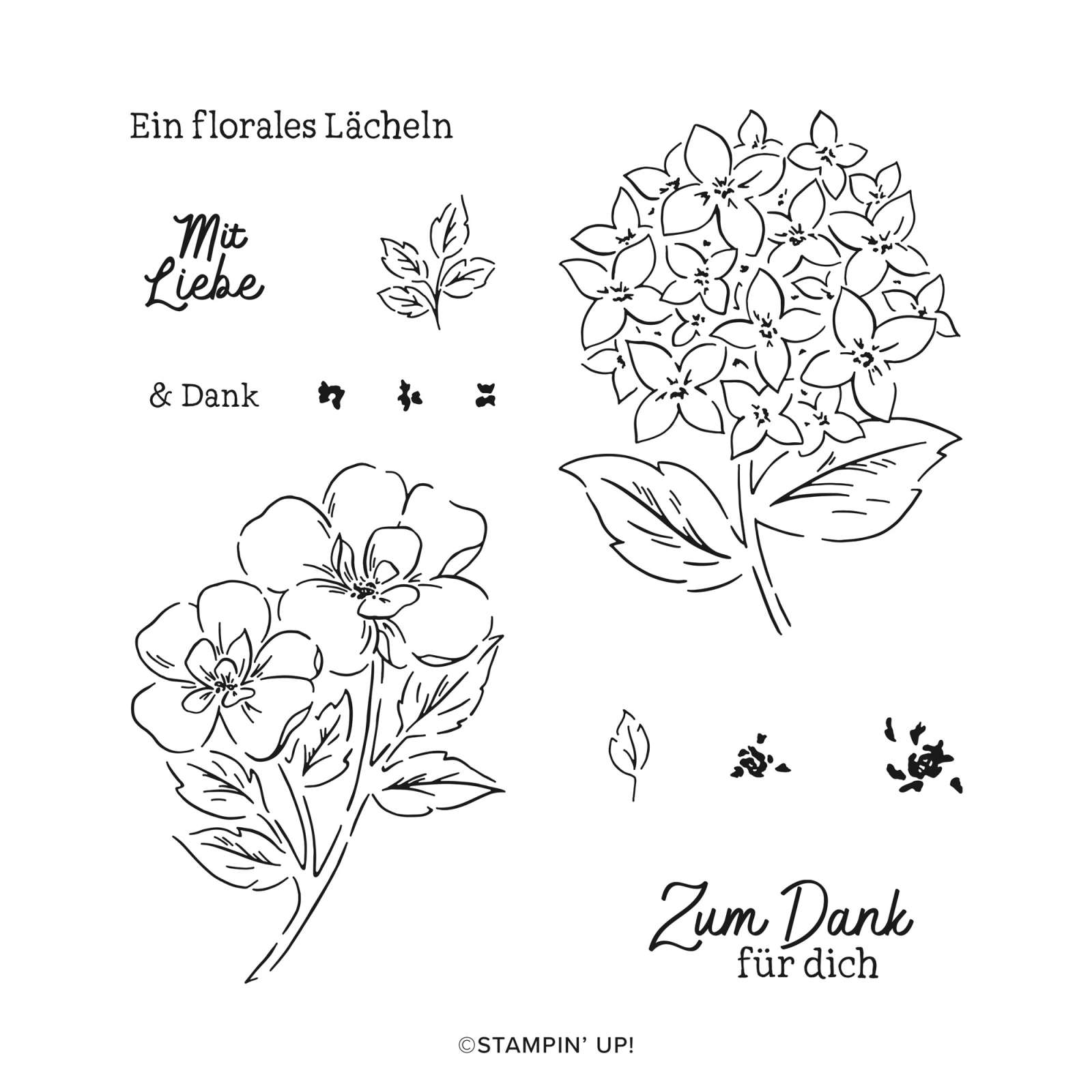 PRODUKTREIHEN-KOLLEKTION GARTENBLUMEN (DEUTSCH)