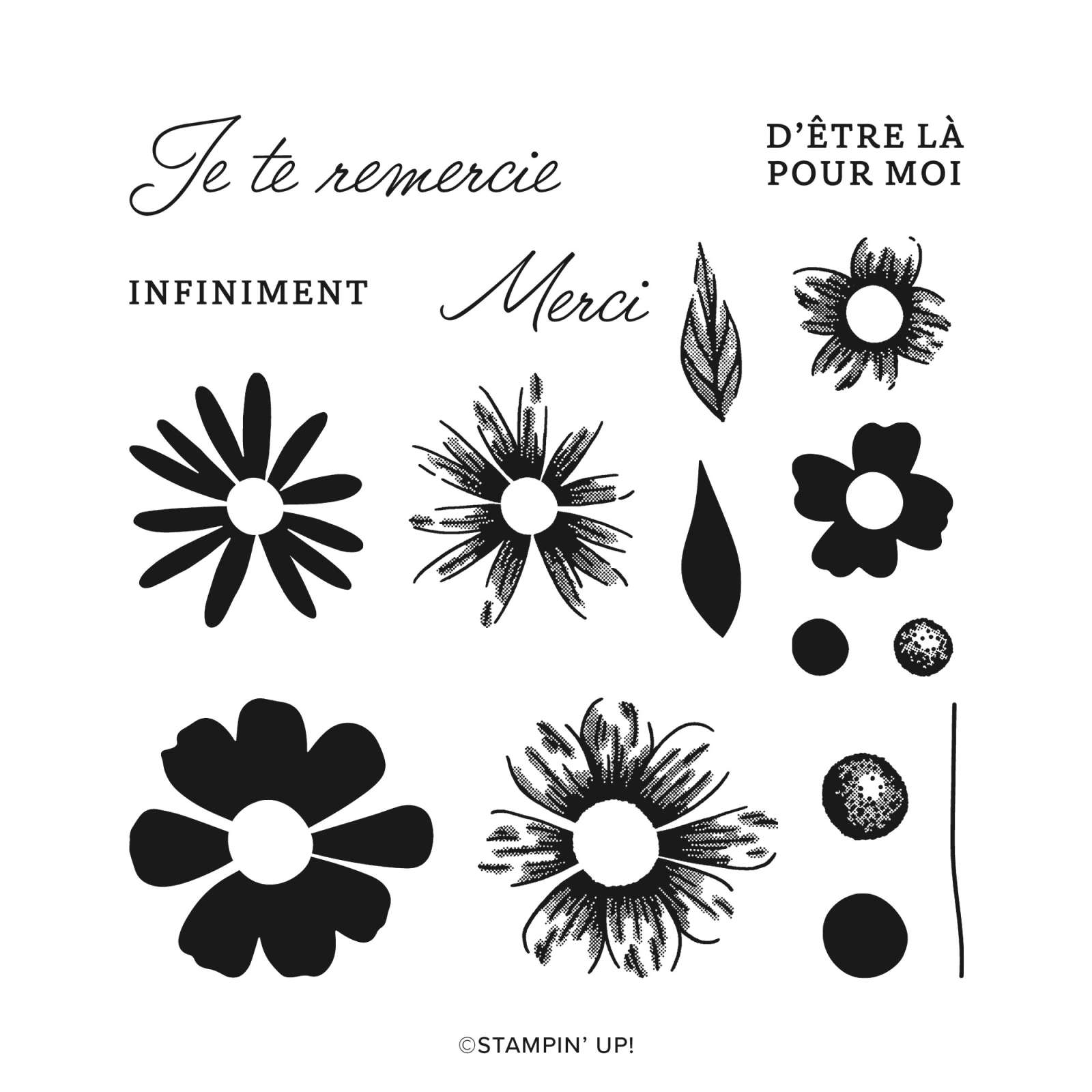 IMPRESSIONS FLEURIES PHOTOPOLYMER STAMP SET (FRENCH)