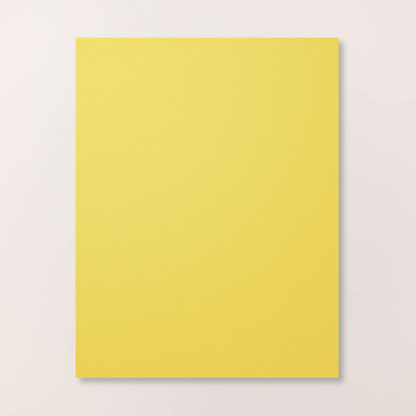 DARLING DUCKLING 8-1/2" X 11" CARDSTOCK