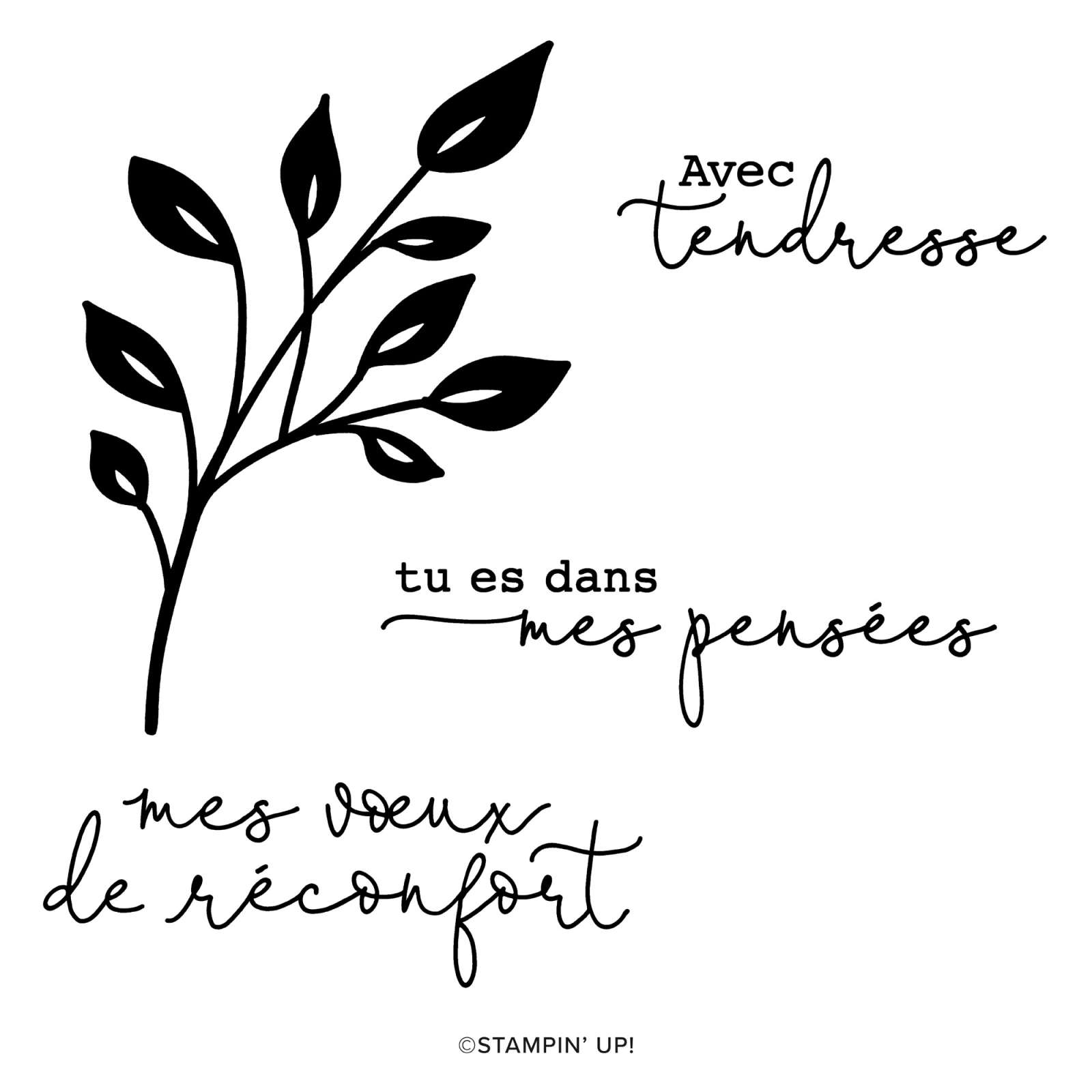 KIT TENDRESSE EN BLEU (FRANÇAIS)