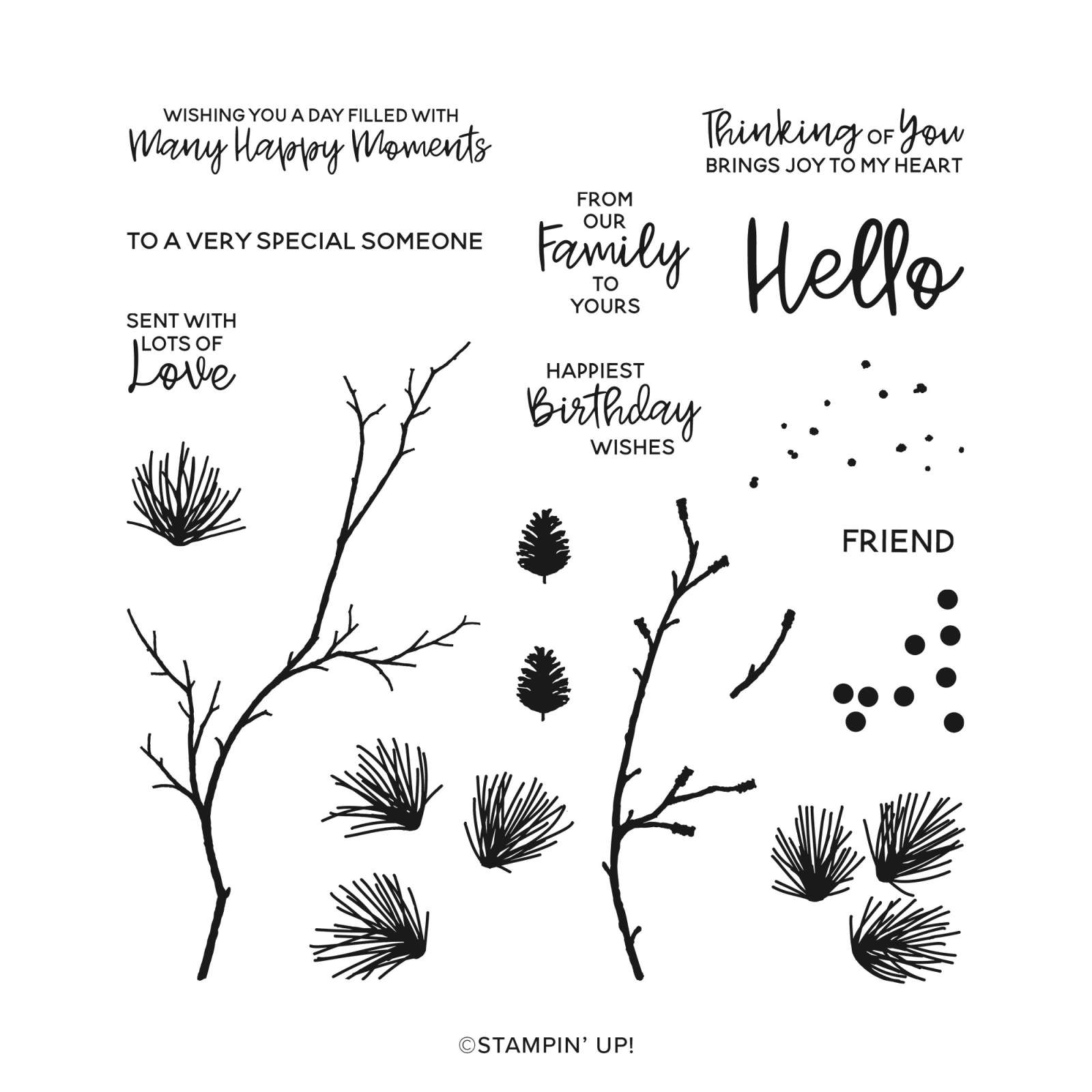 BRANCHING OUT PHOTOPOLYMER STAMP SET (ENGLISH)