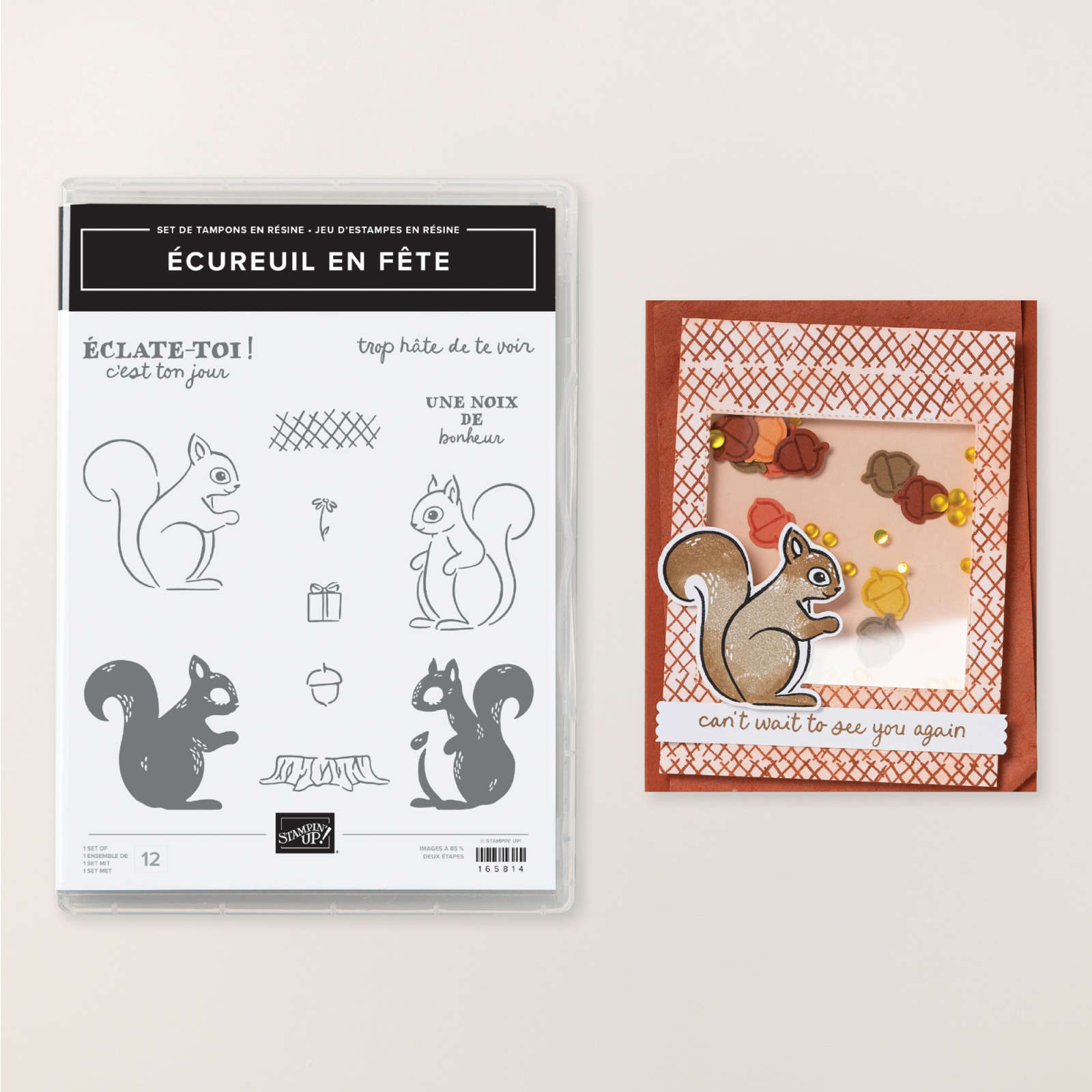 ÉCUREUIL EN FÊTE PHOTOPOLYMER STAMP SET (FRENCH)