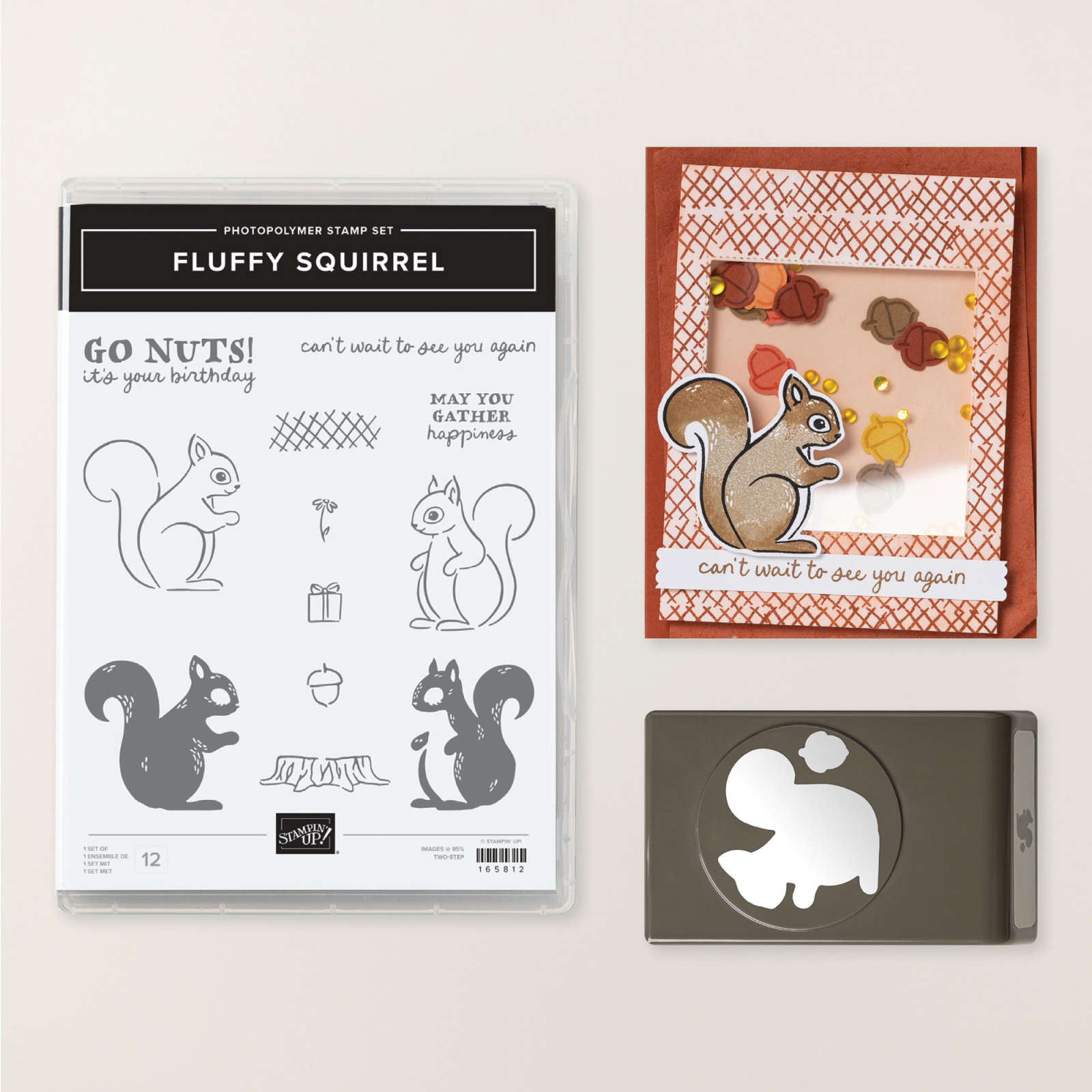 FLUFFY SQUIRREL BUNDLE (ENGLISH)