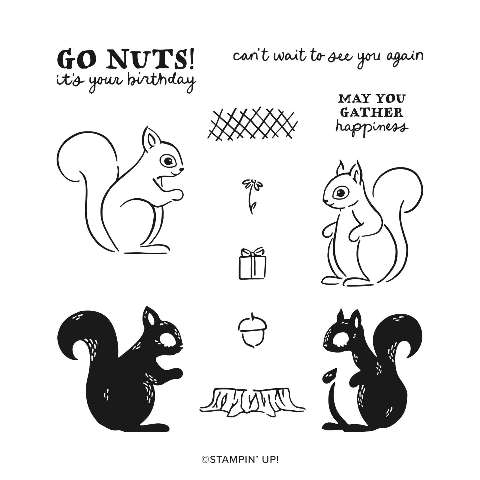 FLUFFY SQUIRREL BUNDLE (ENGLISH)