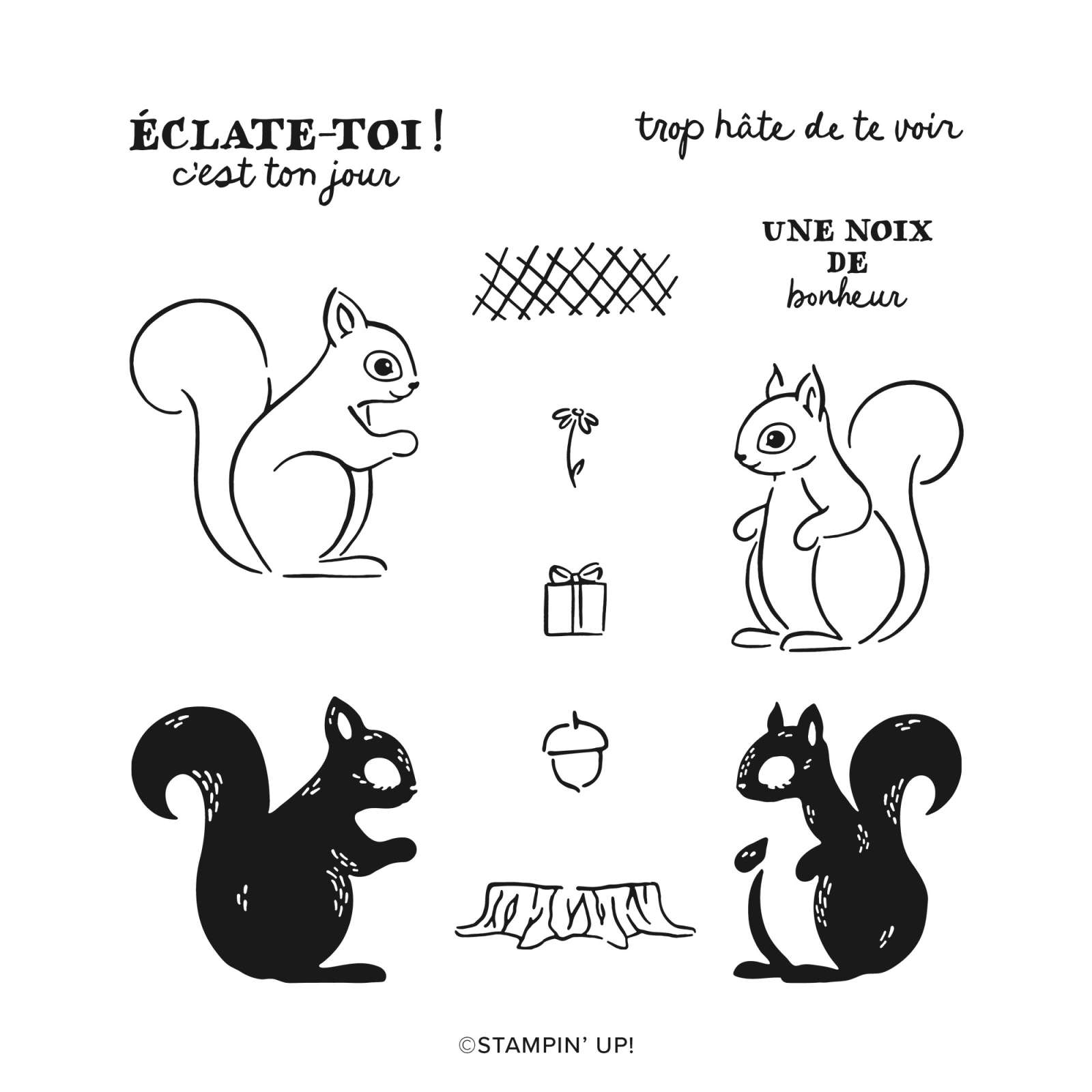 ÉCUREUIL EN FÊTE BUNDLE (FRENCH)