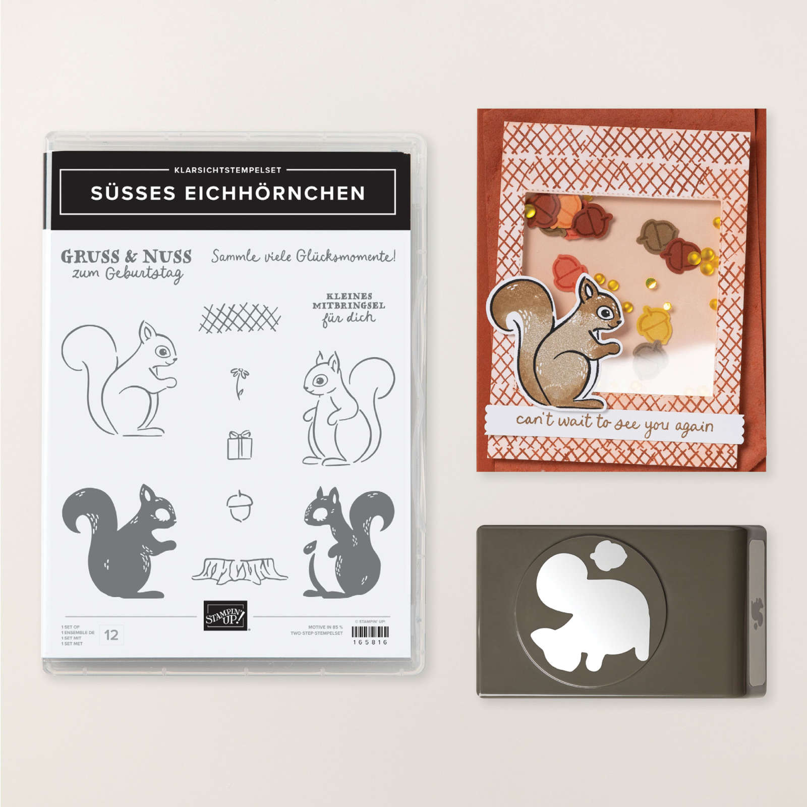 SÜSSES EICHHÖRNCHEN BUNDLE (GERMAN)