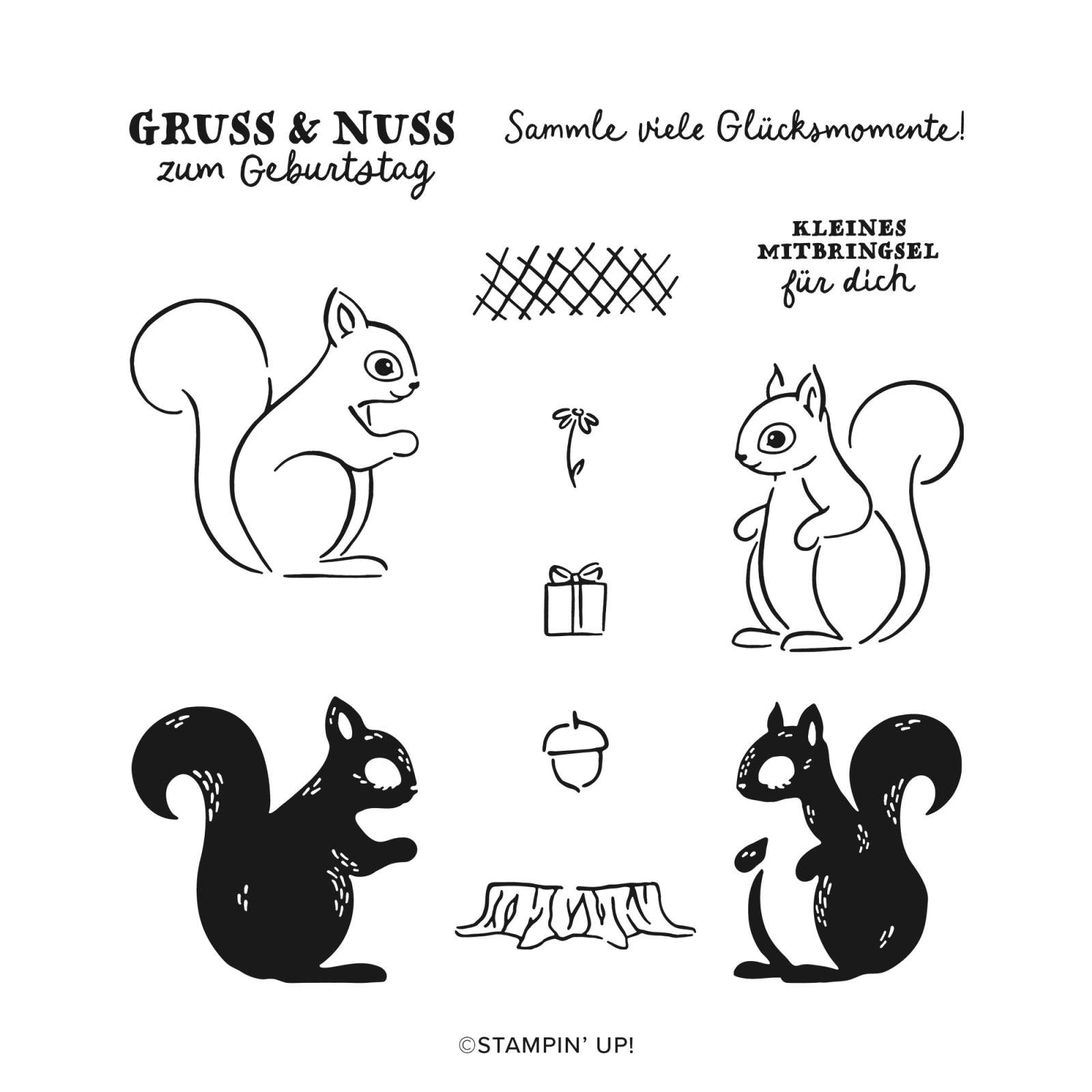 SÜSSES EICHHÖRNCHEN BUNDLE (GERMAN)