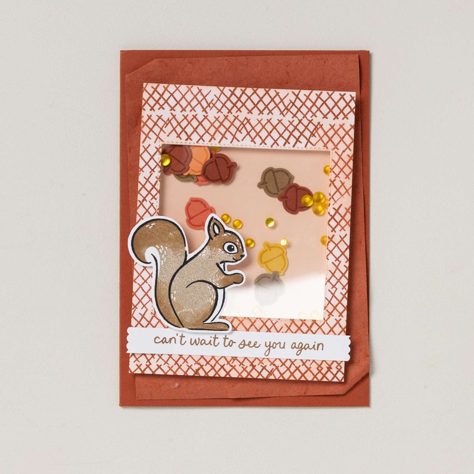 SÜSSES EICHHÖRNCHEN BUNDLE (GERMAN)