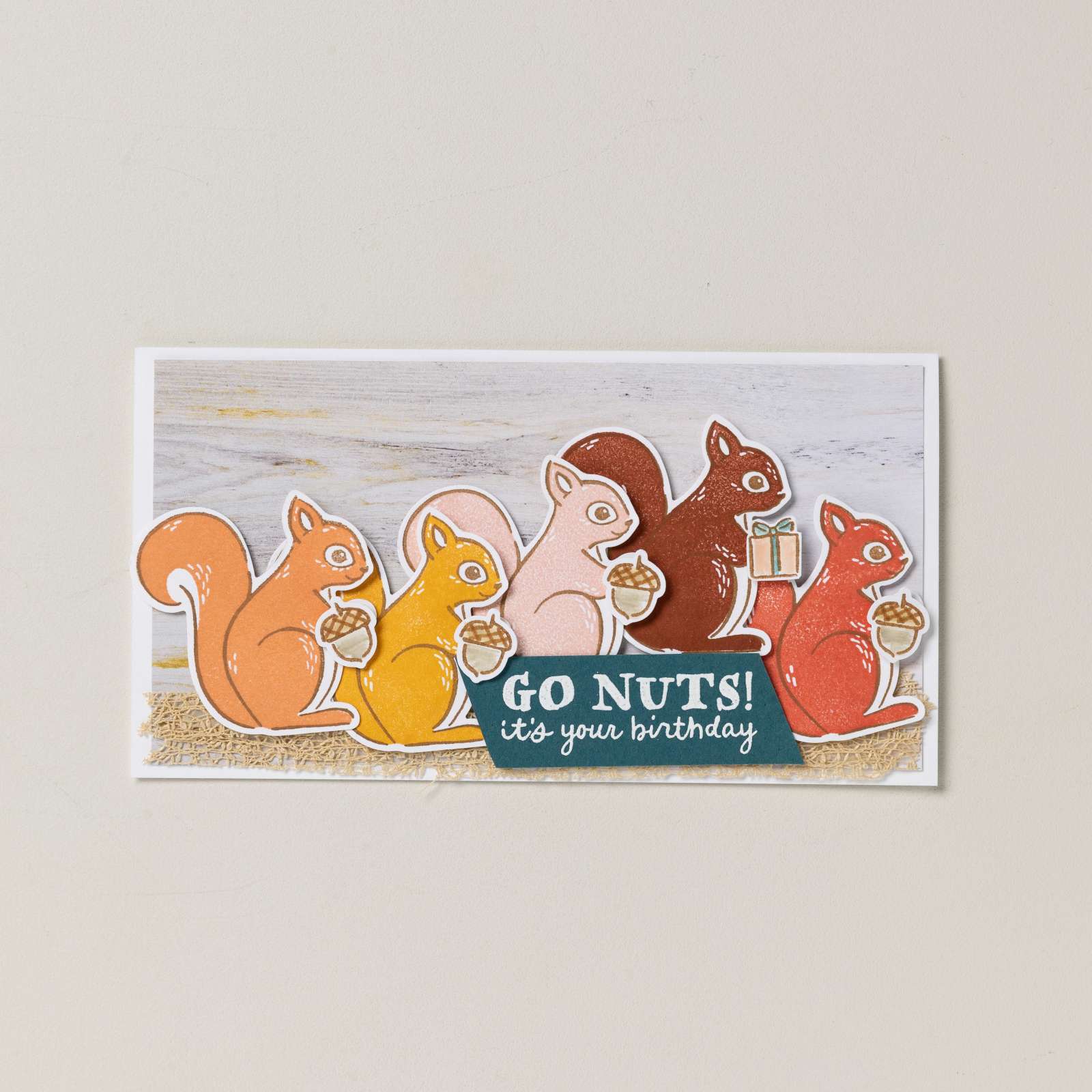 SÜSSES EICHHÖRNCHEN BUNDLE (GERMAN)