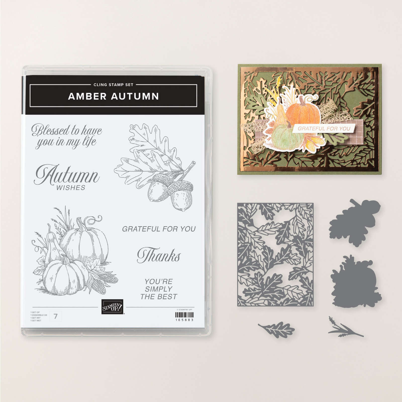 AMBER AUTUMN BUNDLE (ENGLISH)