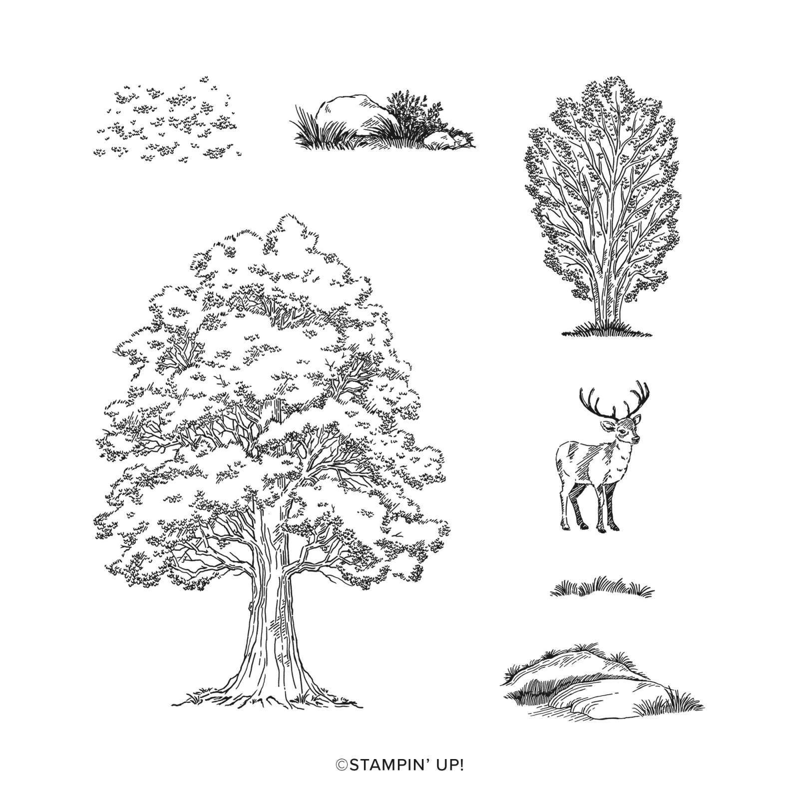 AUTUMN TREES CLING STAMP SET