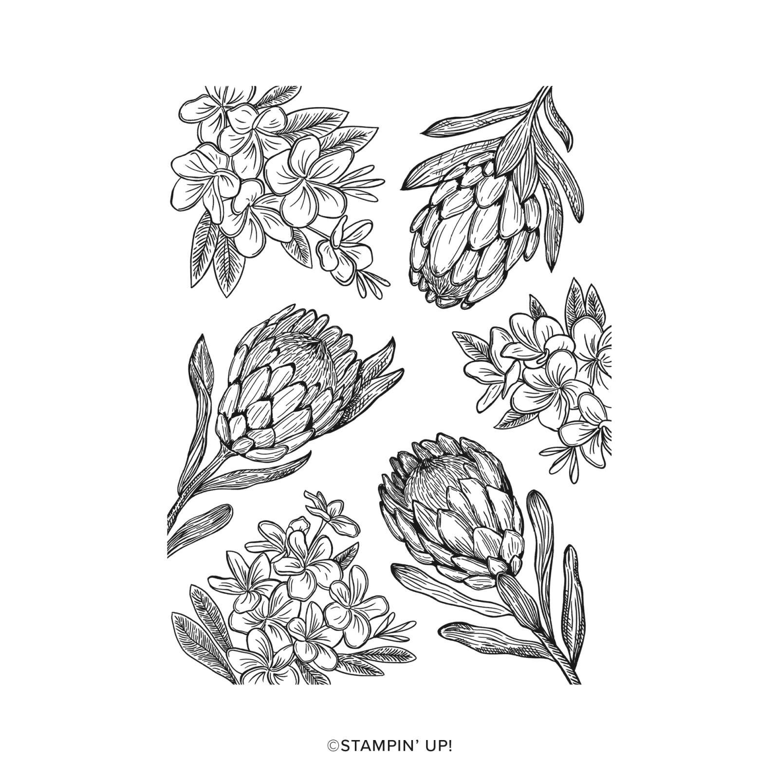 PETAL ARRANGEMENTS CLING STAMP SET