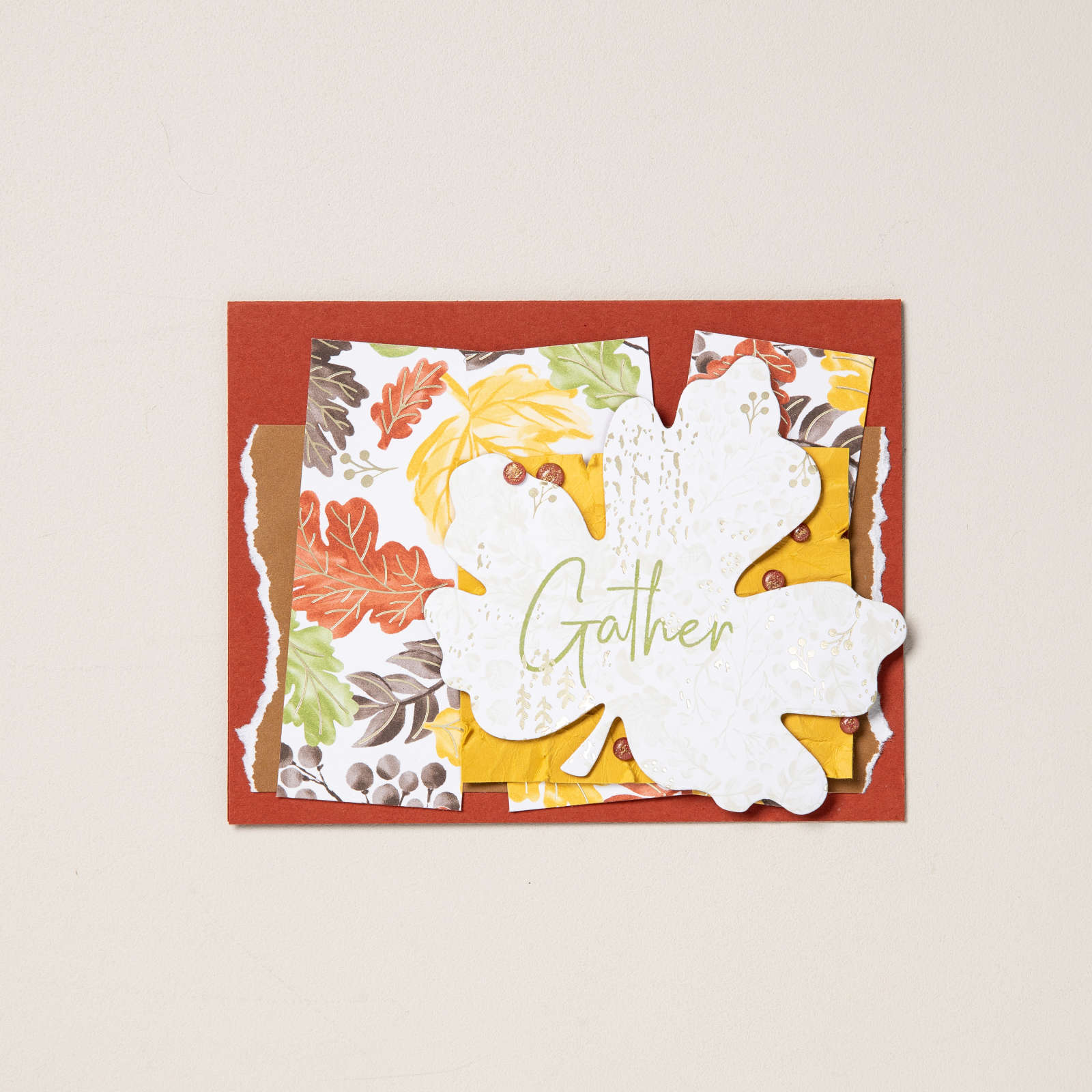 CAJUN CRAZE & GOLD DOTS