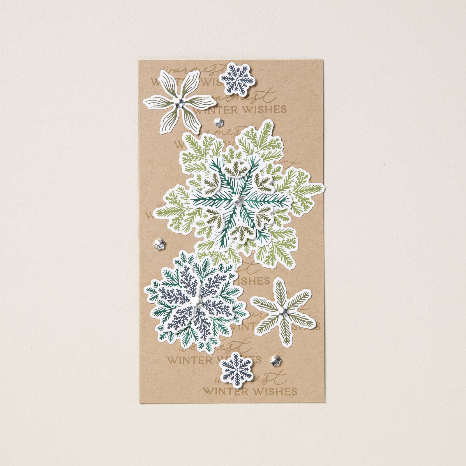 PRODUKTPAKET DELICATE PINES (ENGLISCH)