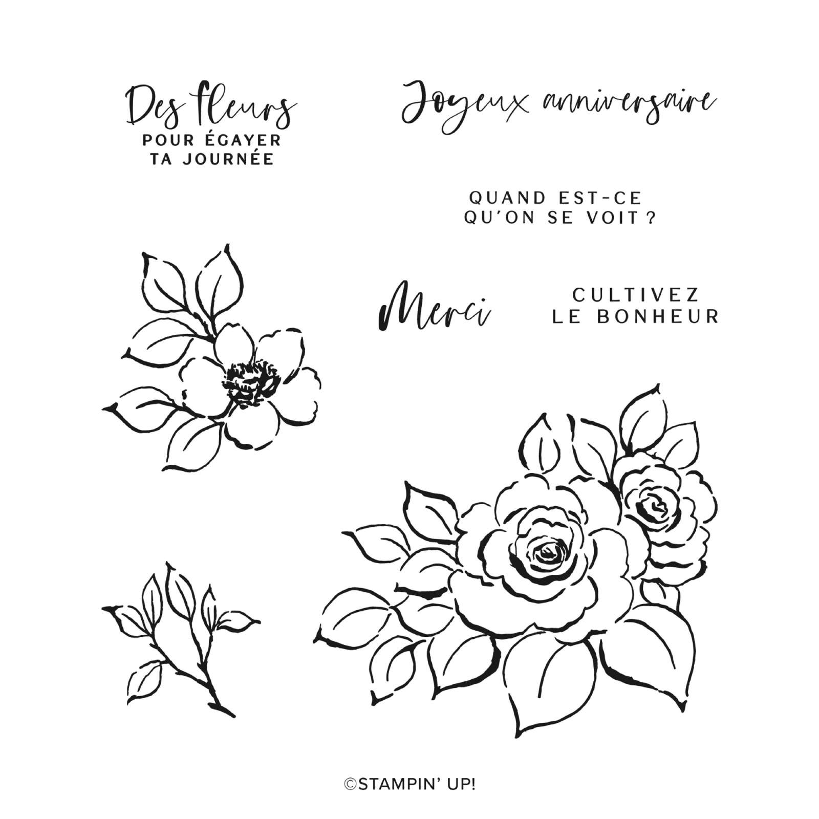 CHARME FLEURI SUITE COLLECTION (FRENCH)