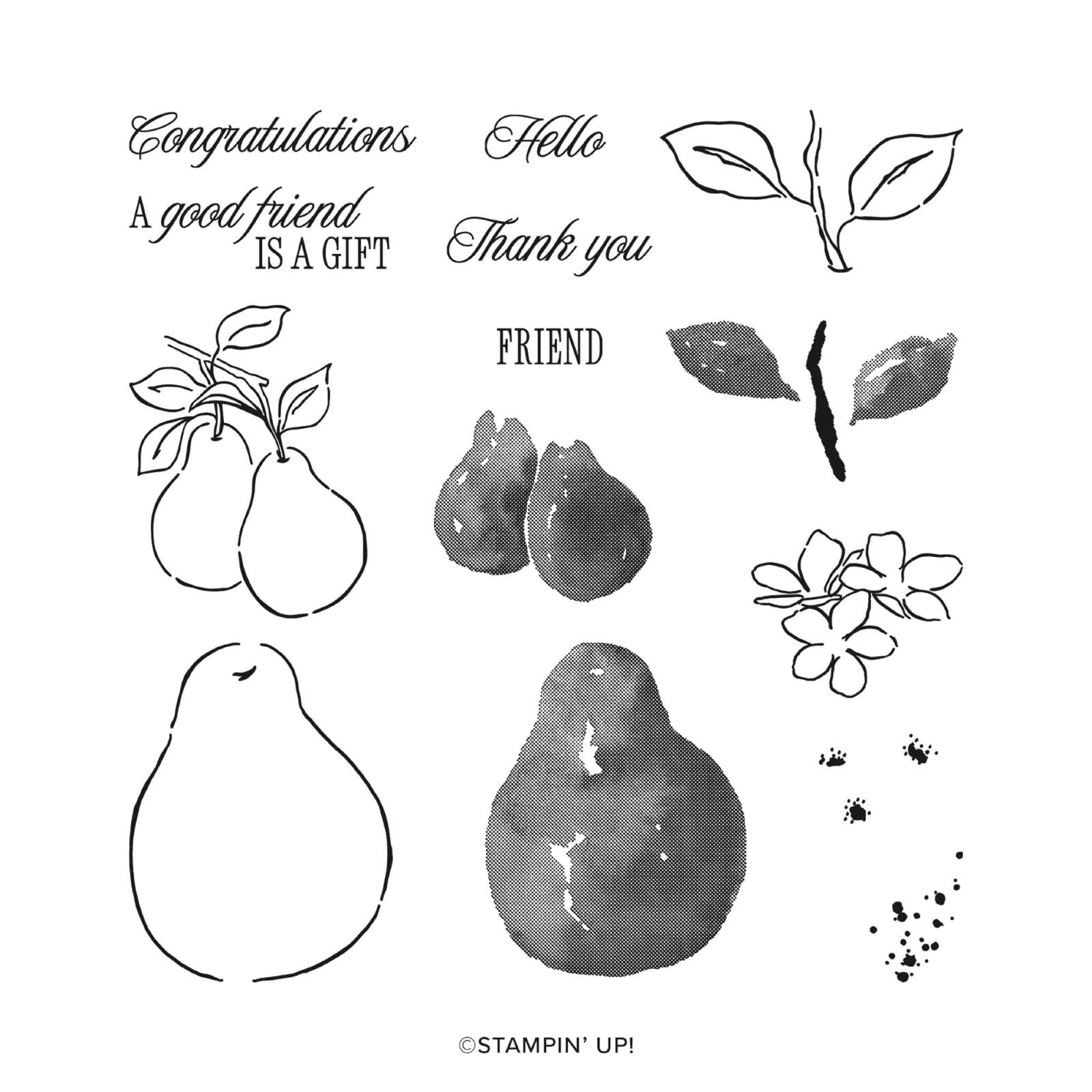 PAINTERLY PEARS SUITE COLLECTION (ENGLISH)