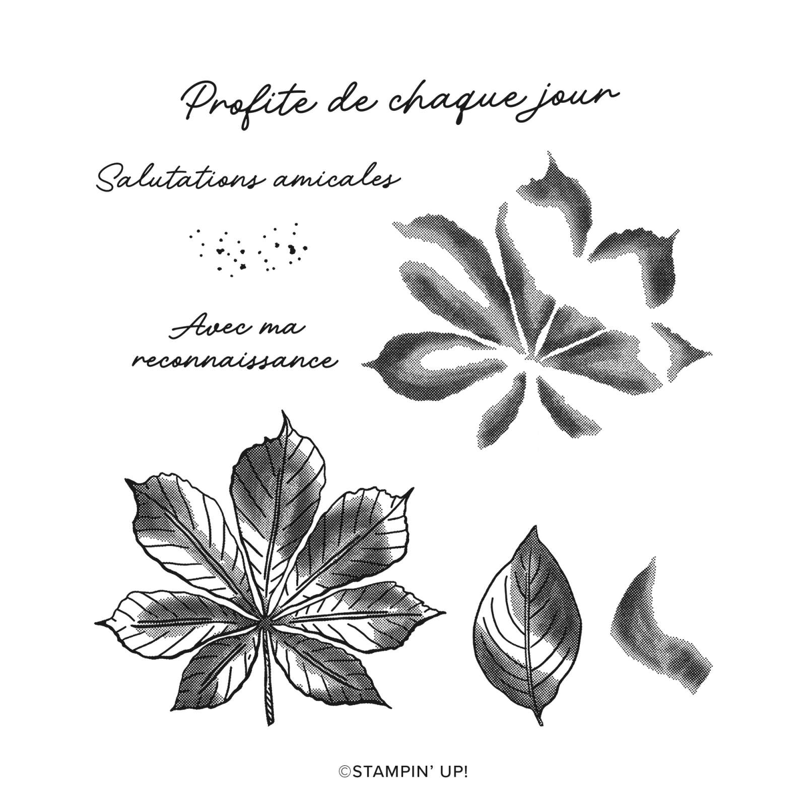 FEUILLAGE ARTISTIQUE PHOTOPOLYMER STAMP SET (FRENCH)